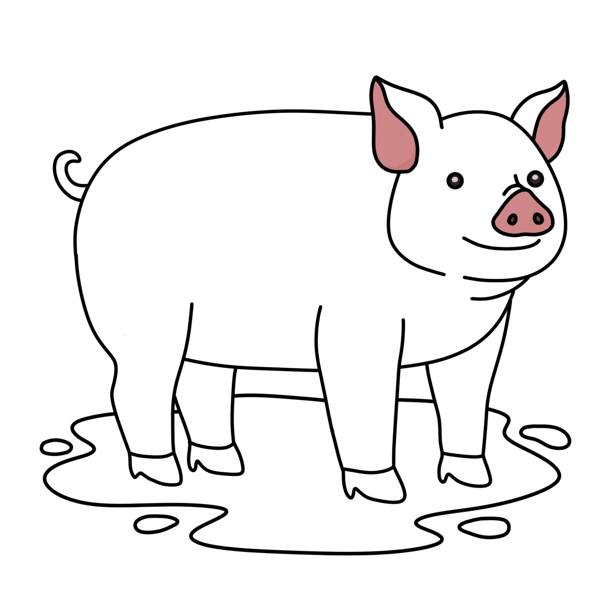 How to Draw a Pig - Step-13