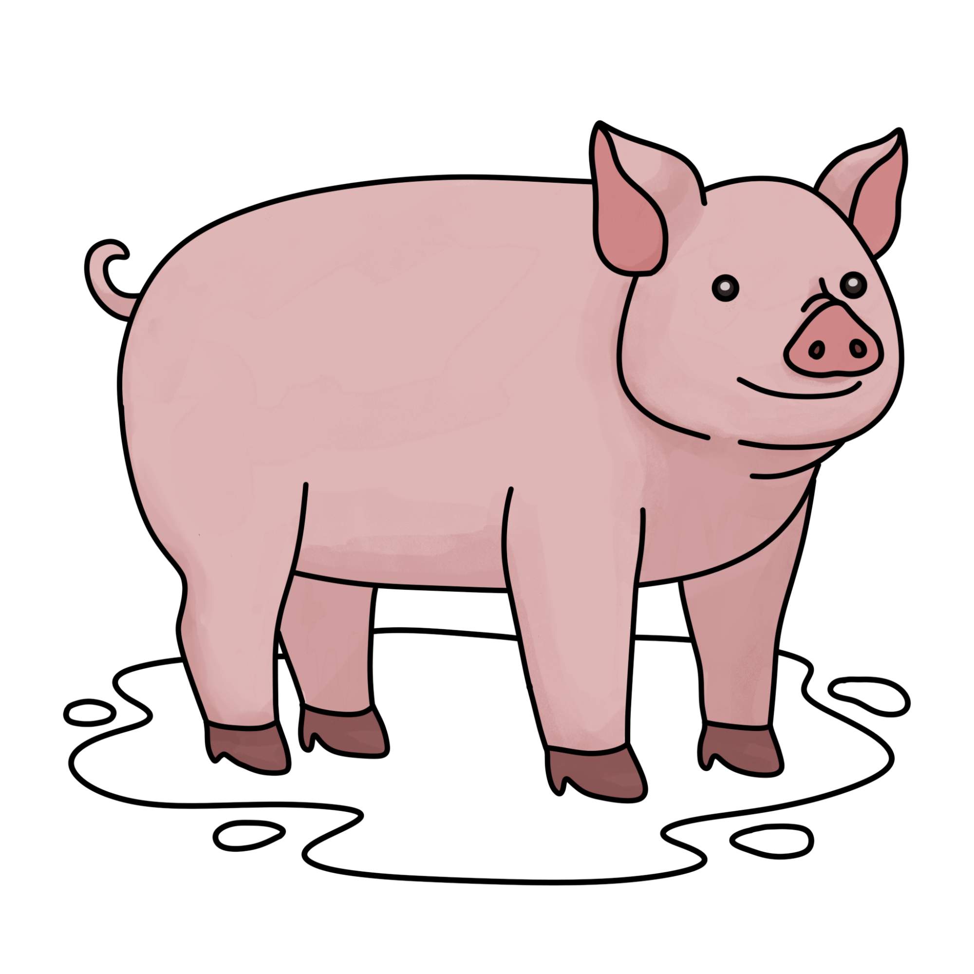 How to Draw a Pig - Step-14