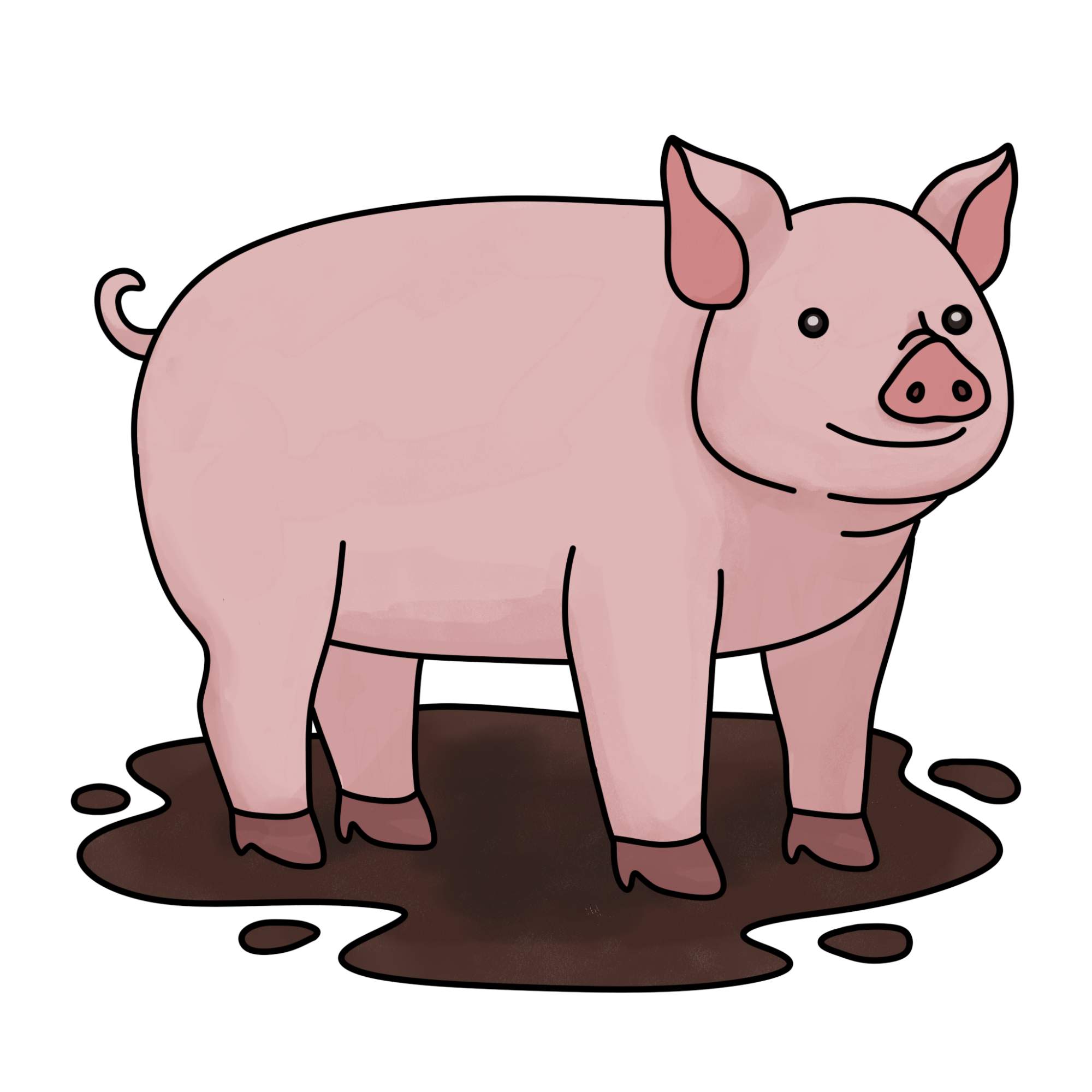 How to Draw a Pig - Step-15