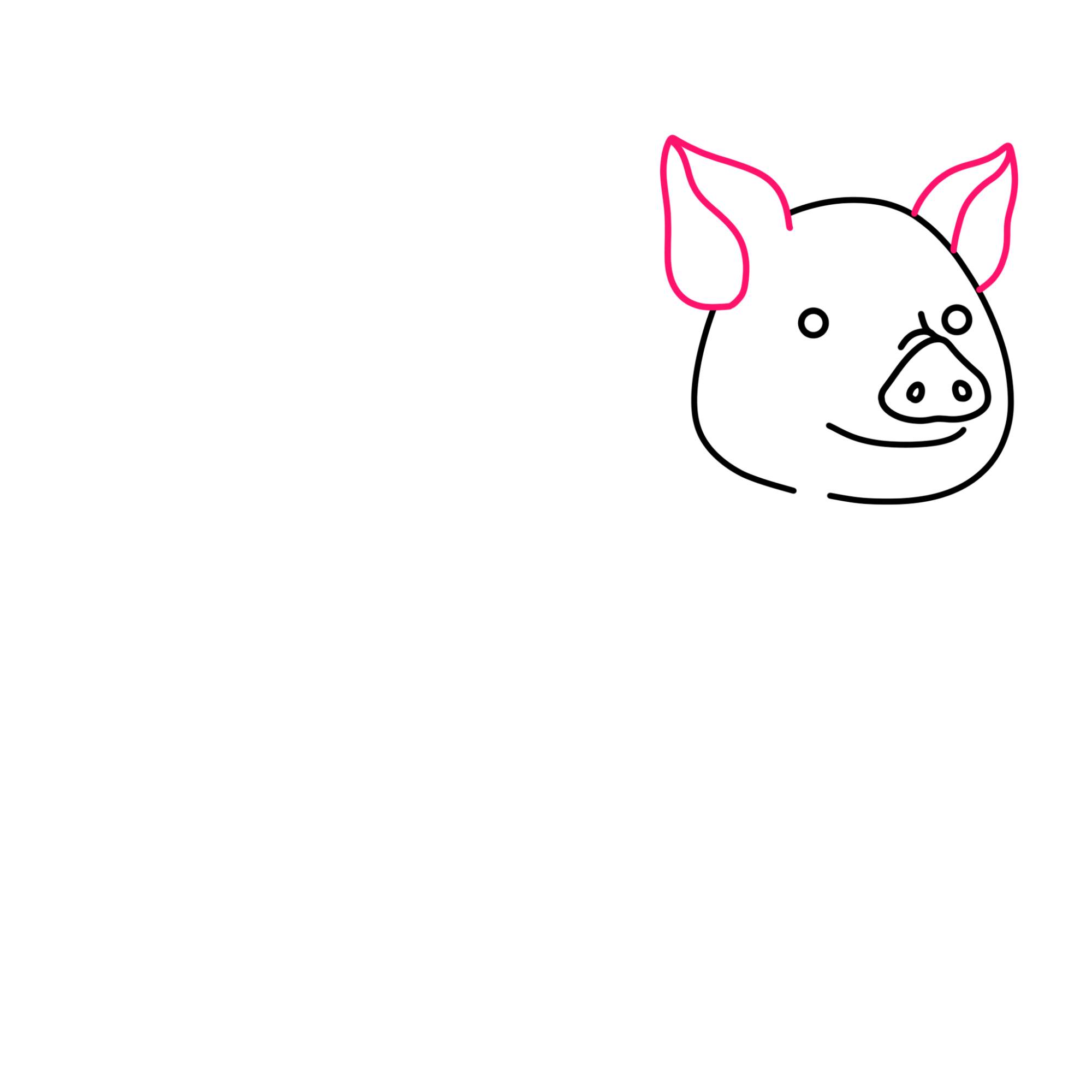 How to Draw a Pig - Step-6