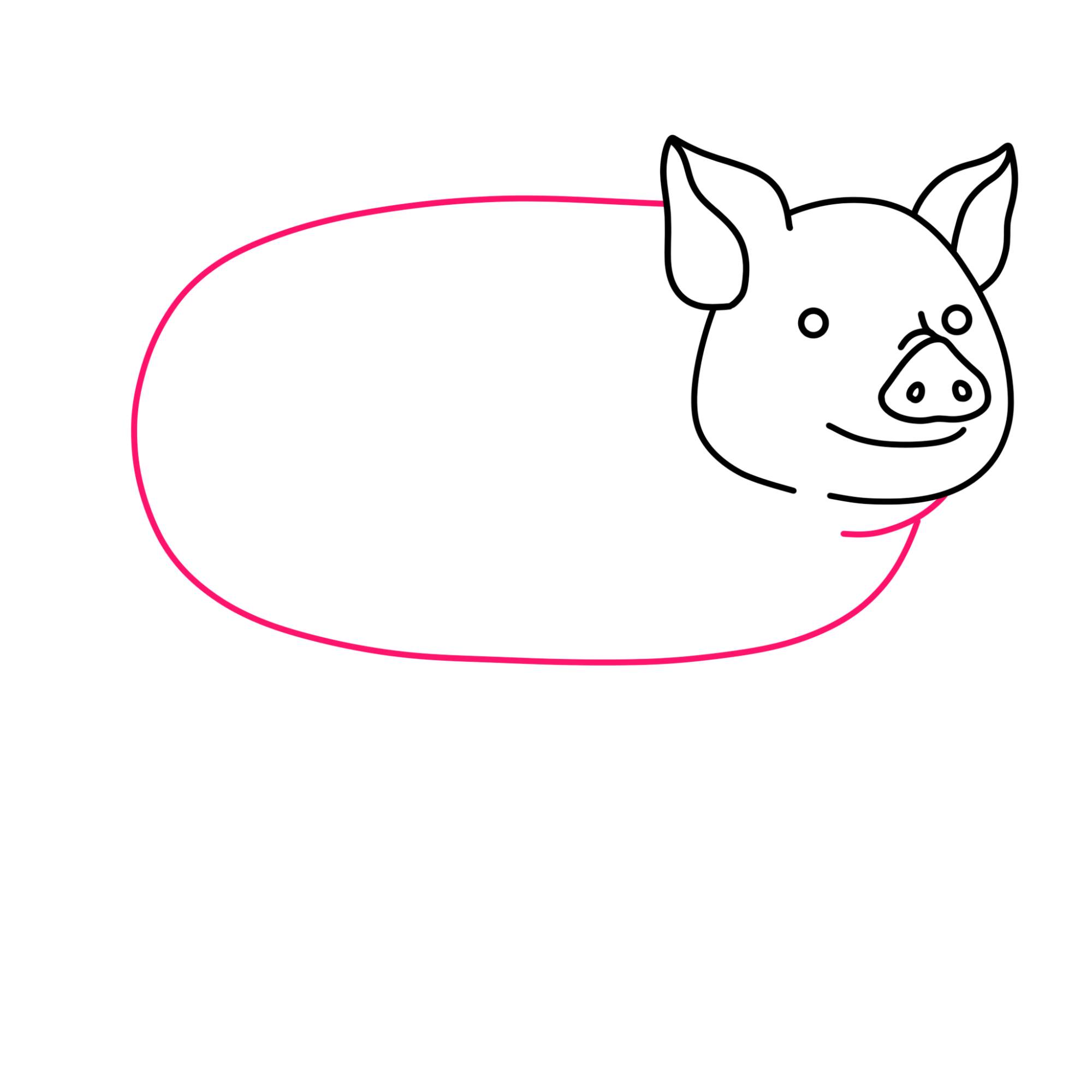 How to Draw a Pig - Step-7