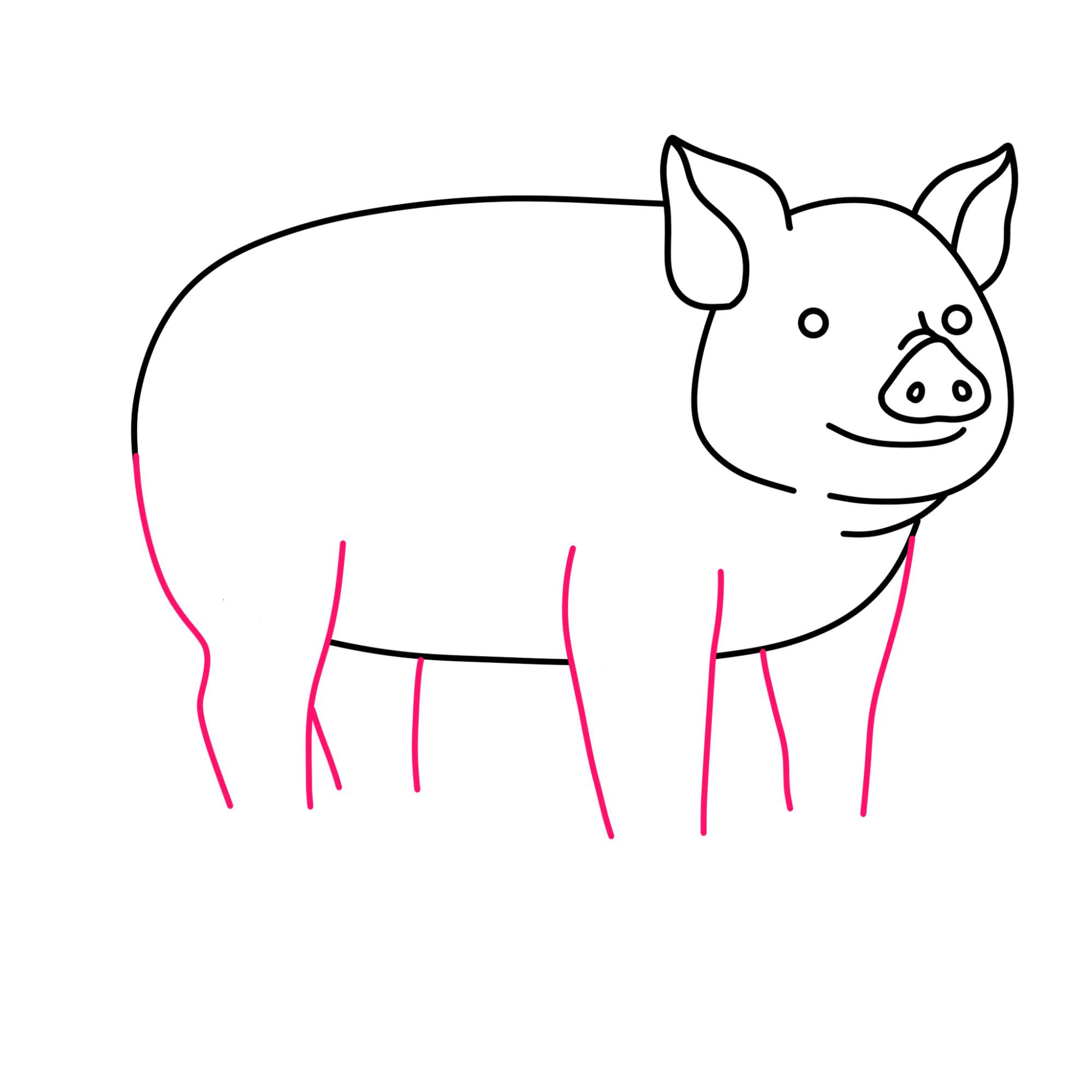 How to Draw a Pig - Step-8