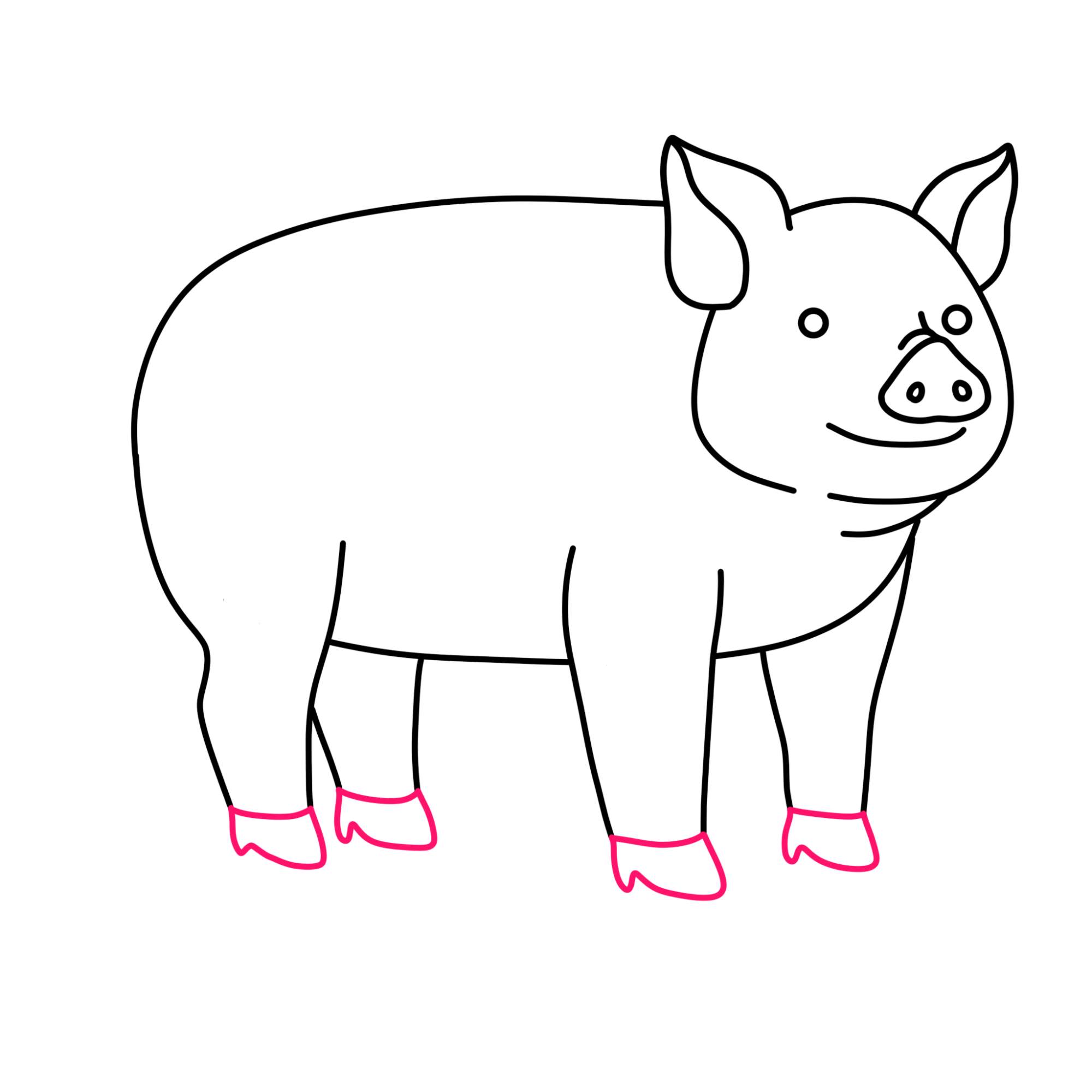 How to Draw a Pig - Step-9