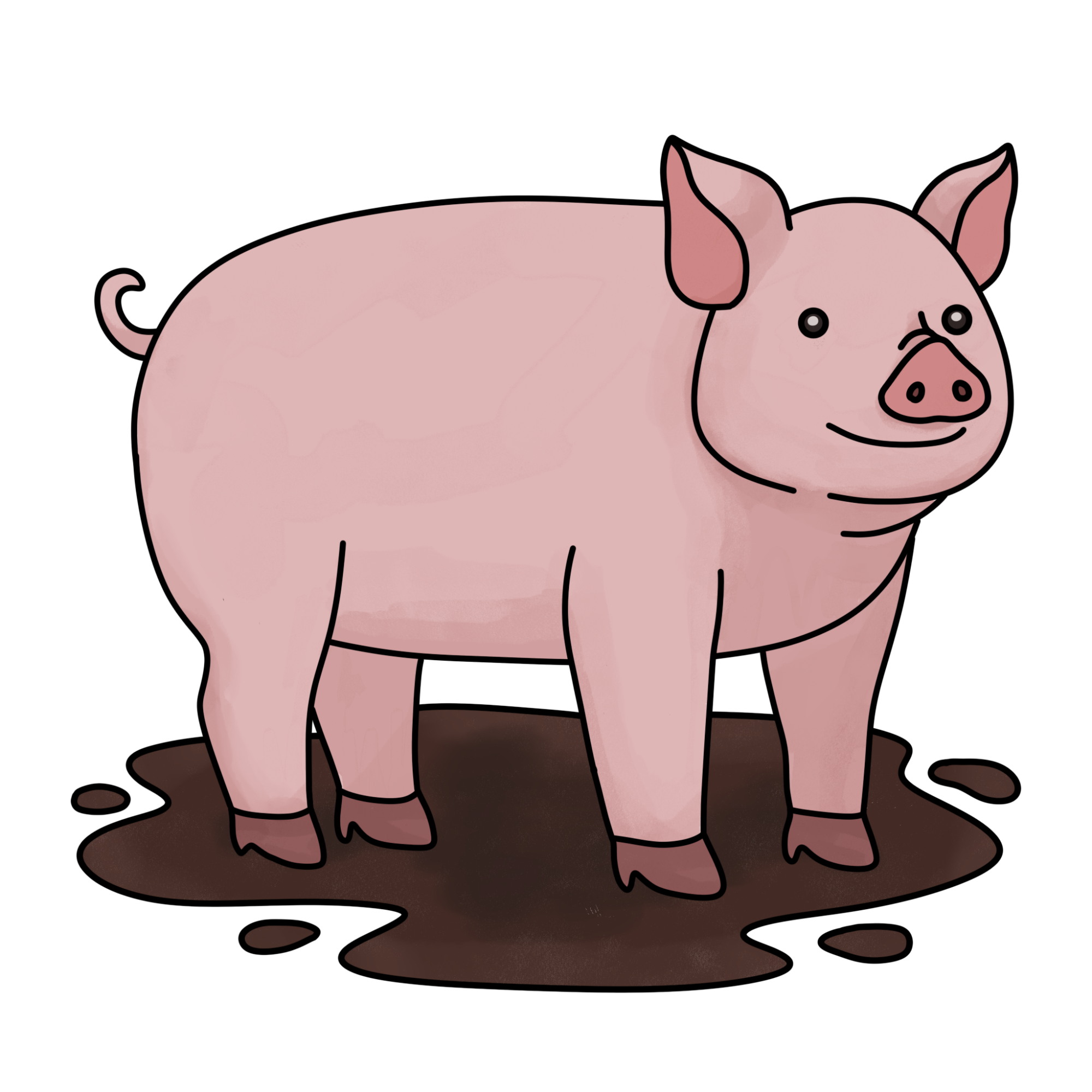 How to Draw a Pig