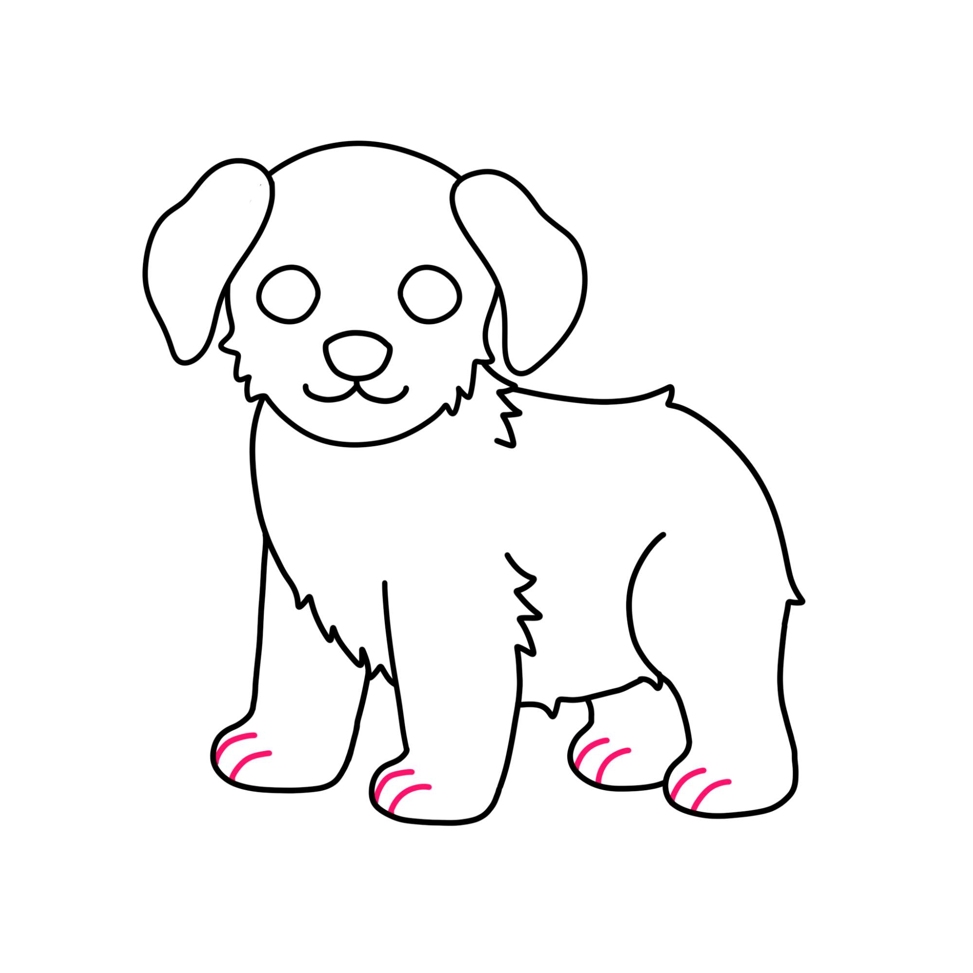 How to Draw a Puppy (step by step) - Step-10