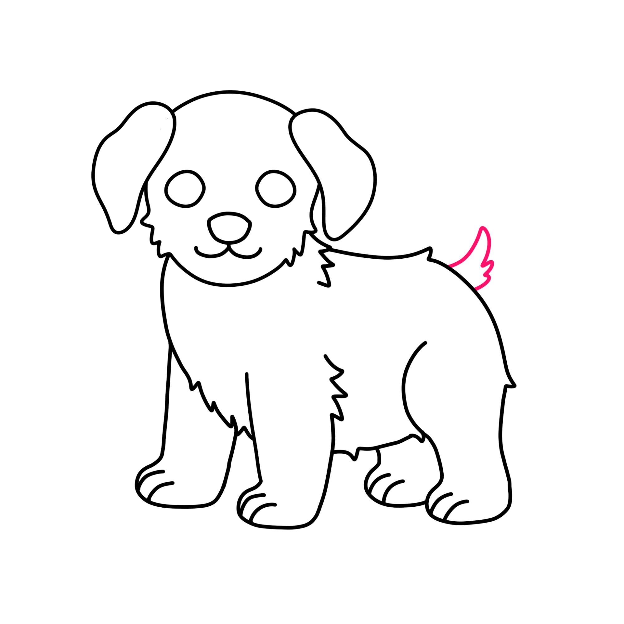 How to Draw a Puppy (step by step) - Step-11