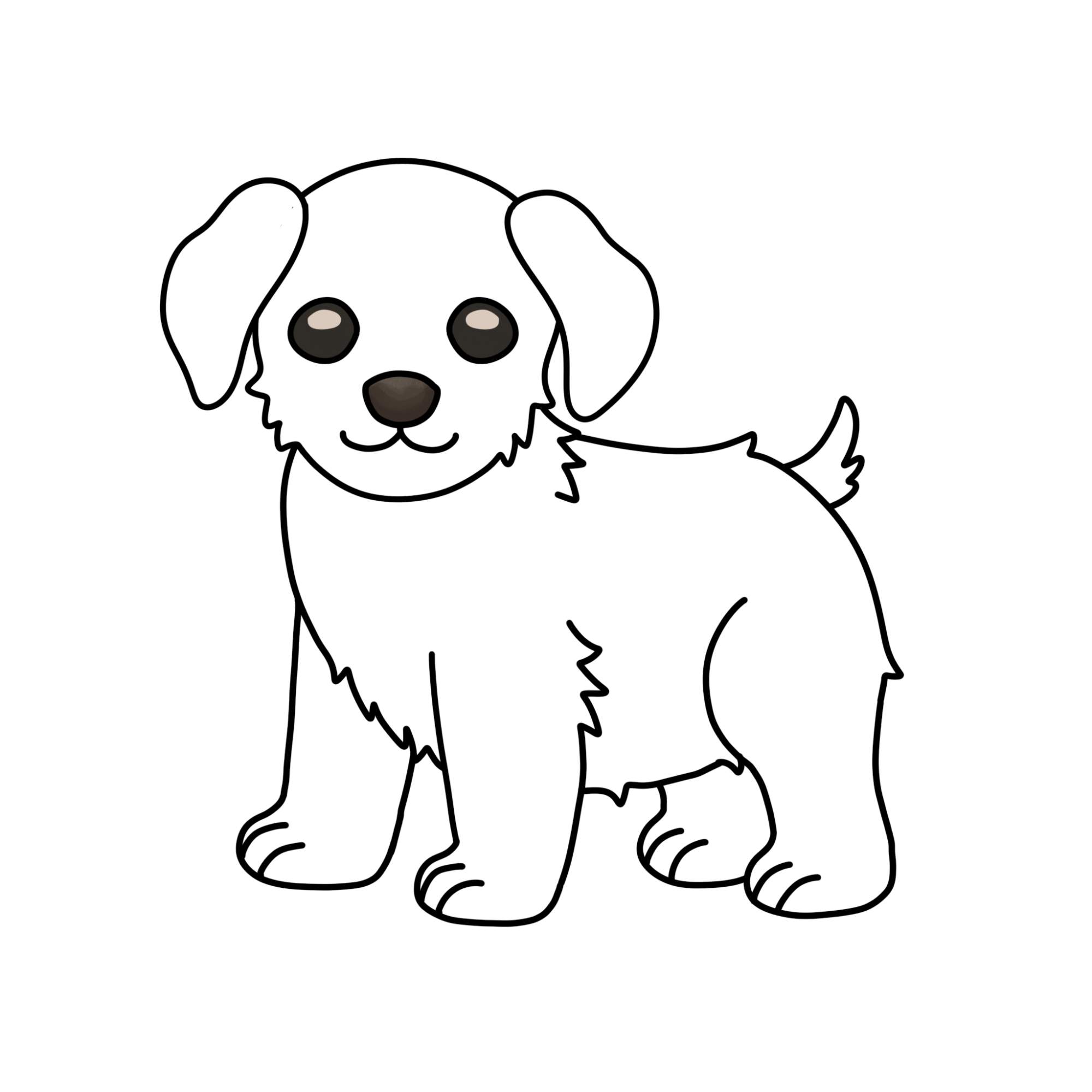 How to Draw a Puppy (step by step) - Step-13