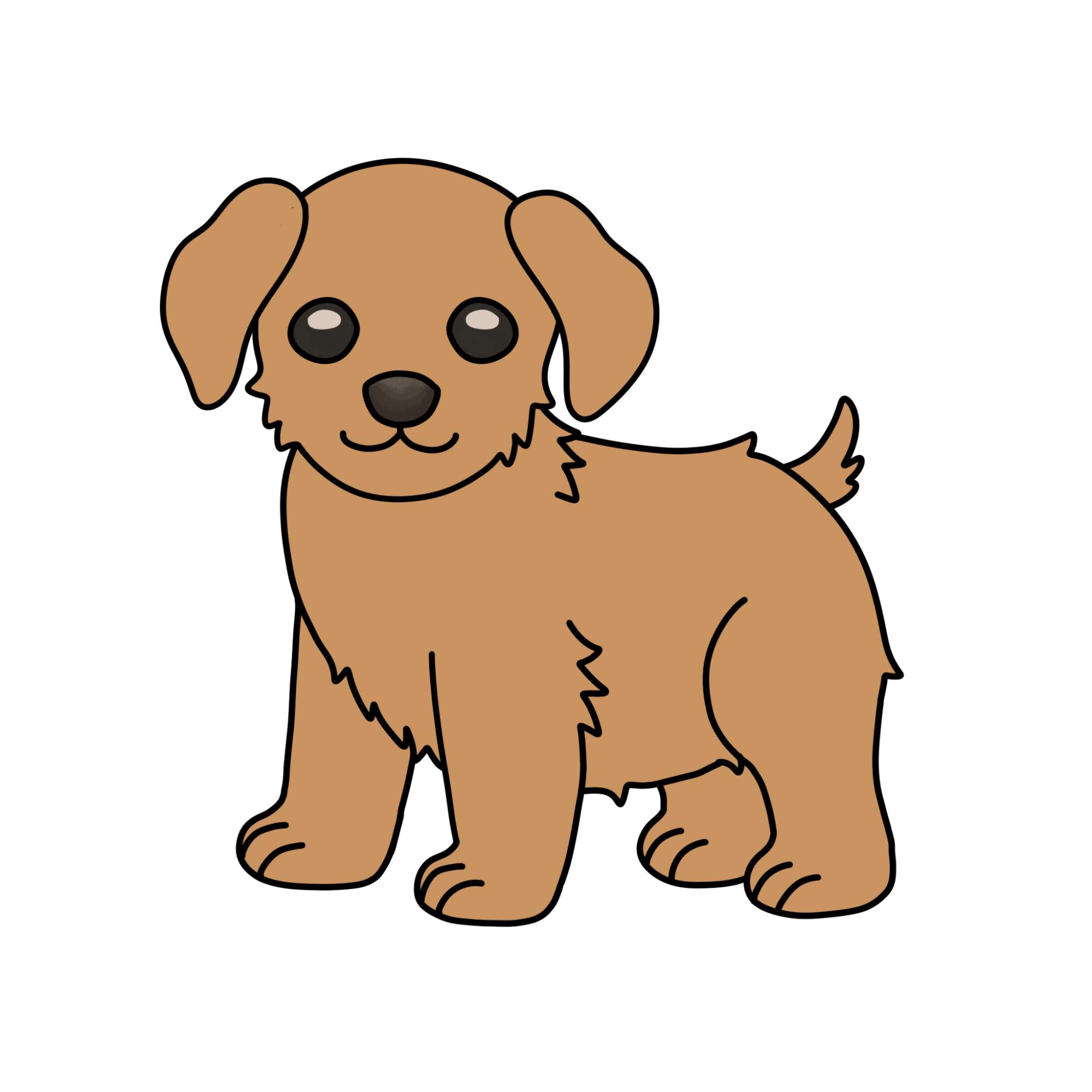 How to Draw a Puppy (step by step) - Step-14