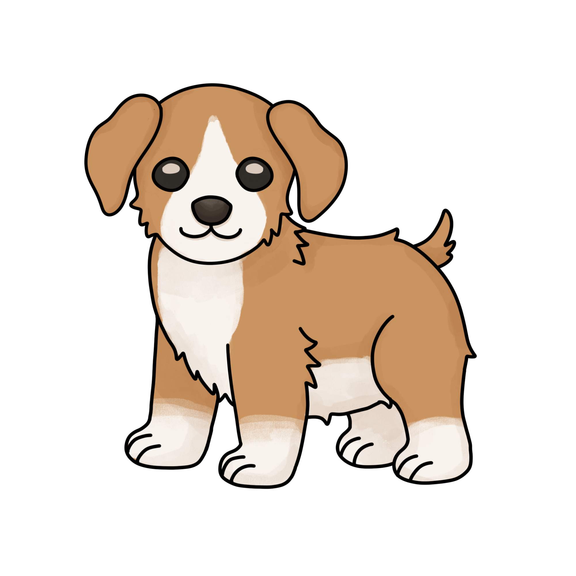 How to Draw a Puppy (step by step) - Step-15