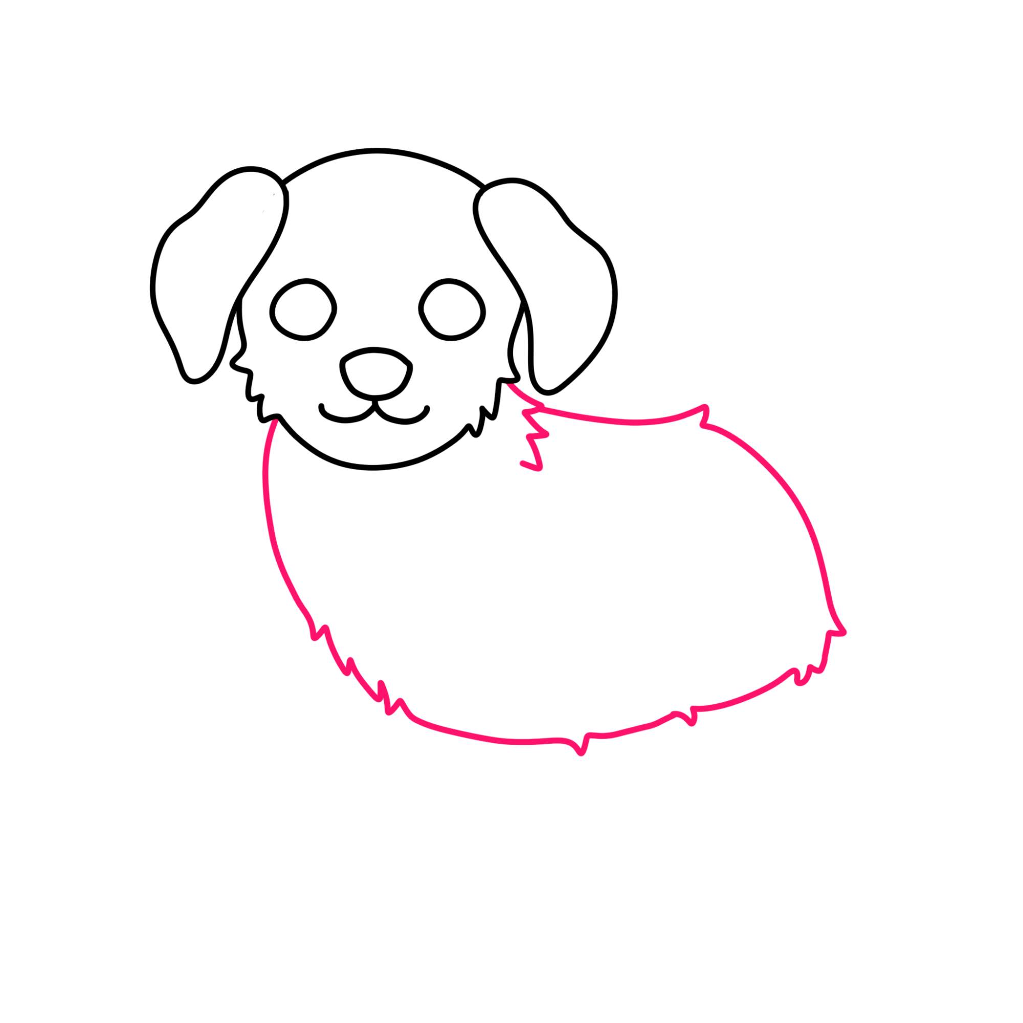 How to Draw a Puppy (step by step) - Step-6