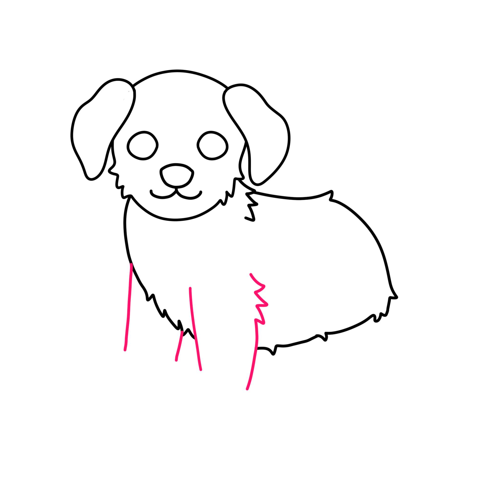 How to Draw a Puppy (step by step) - Step-7