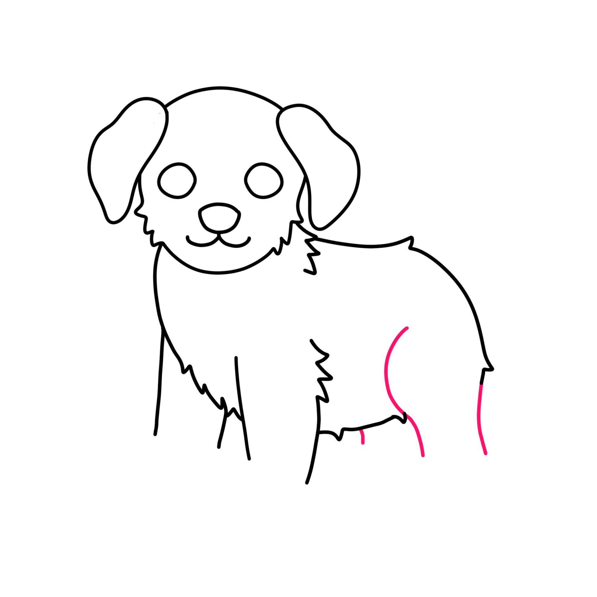 How to Draw a Puppy (step by step) - Step-8