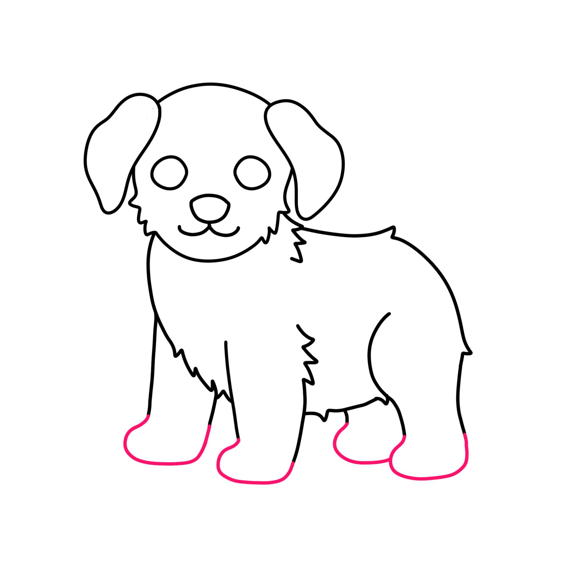 How to Draw a Puppy (step by step) - Step-9