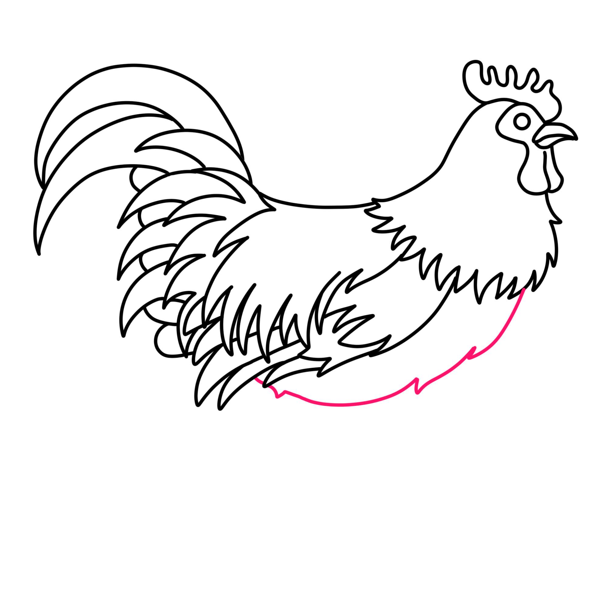 How to Draw a Rooster - Step-11