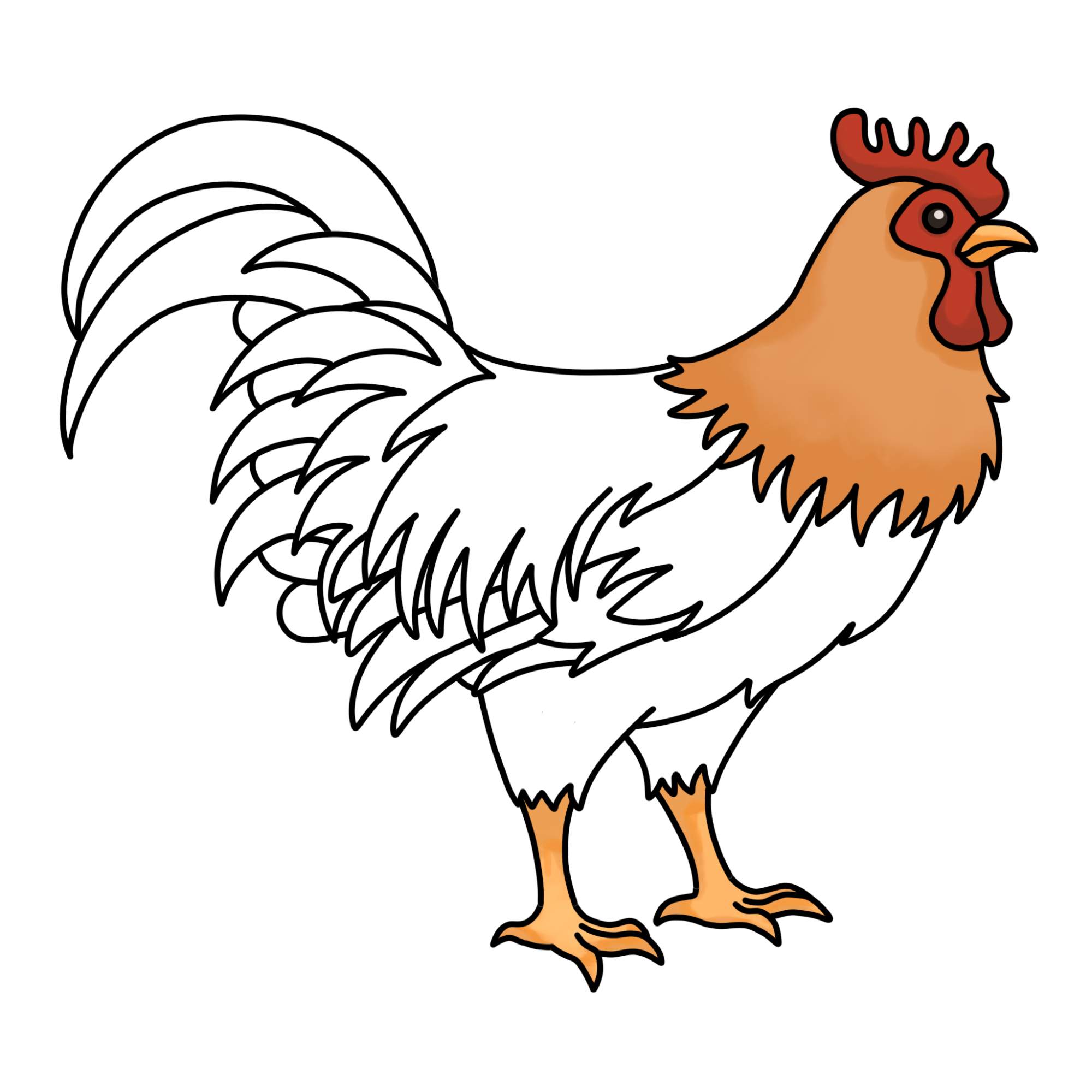 How to Draw a Rooster - Step-15