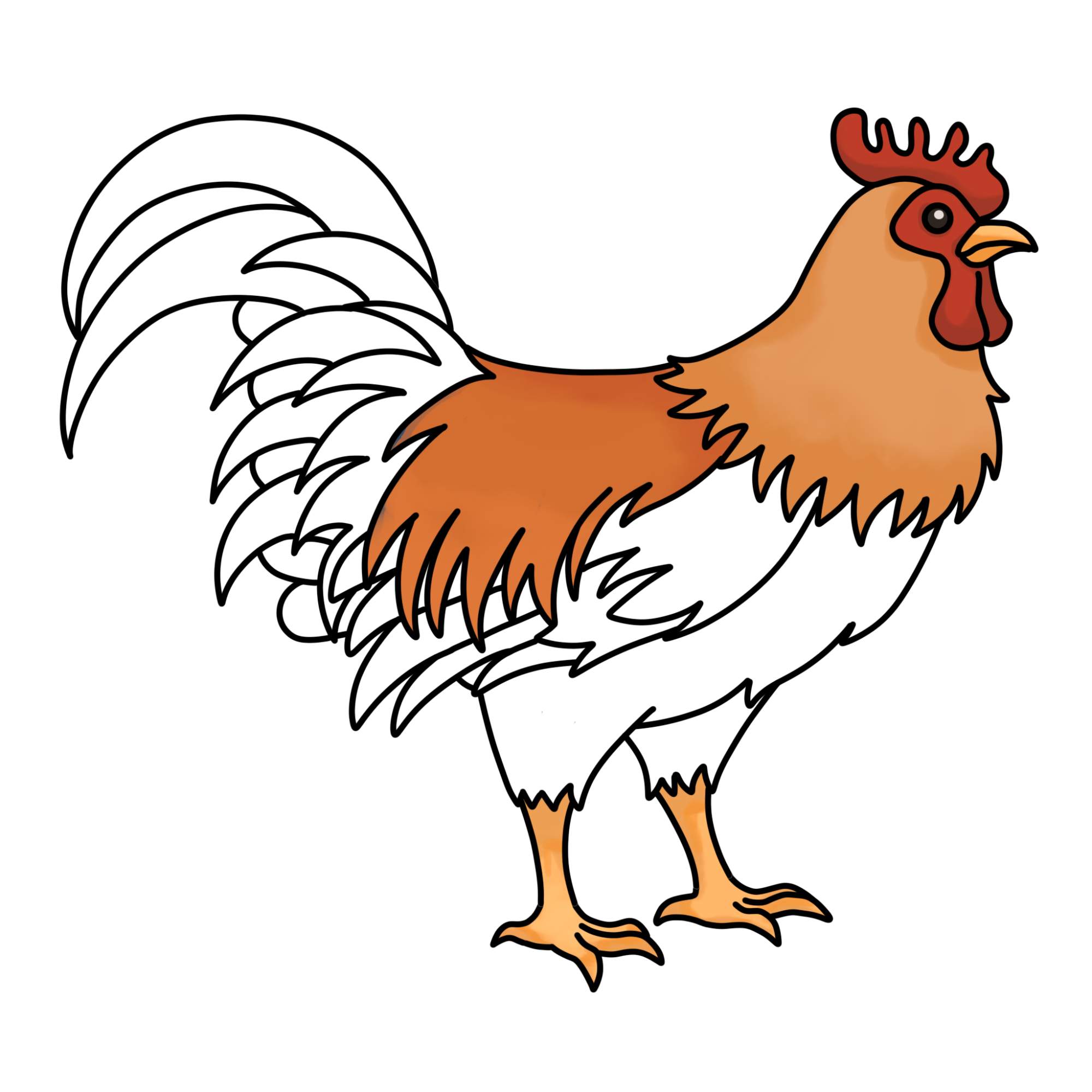 How to Draw a Rooster - Step-16