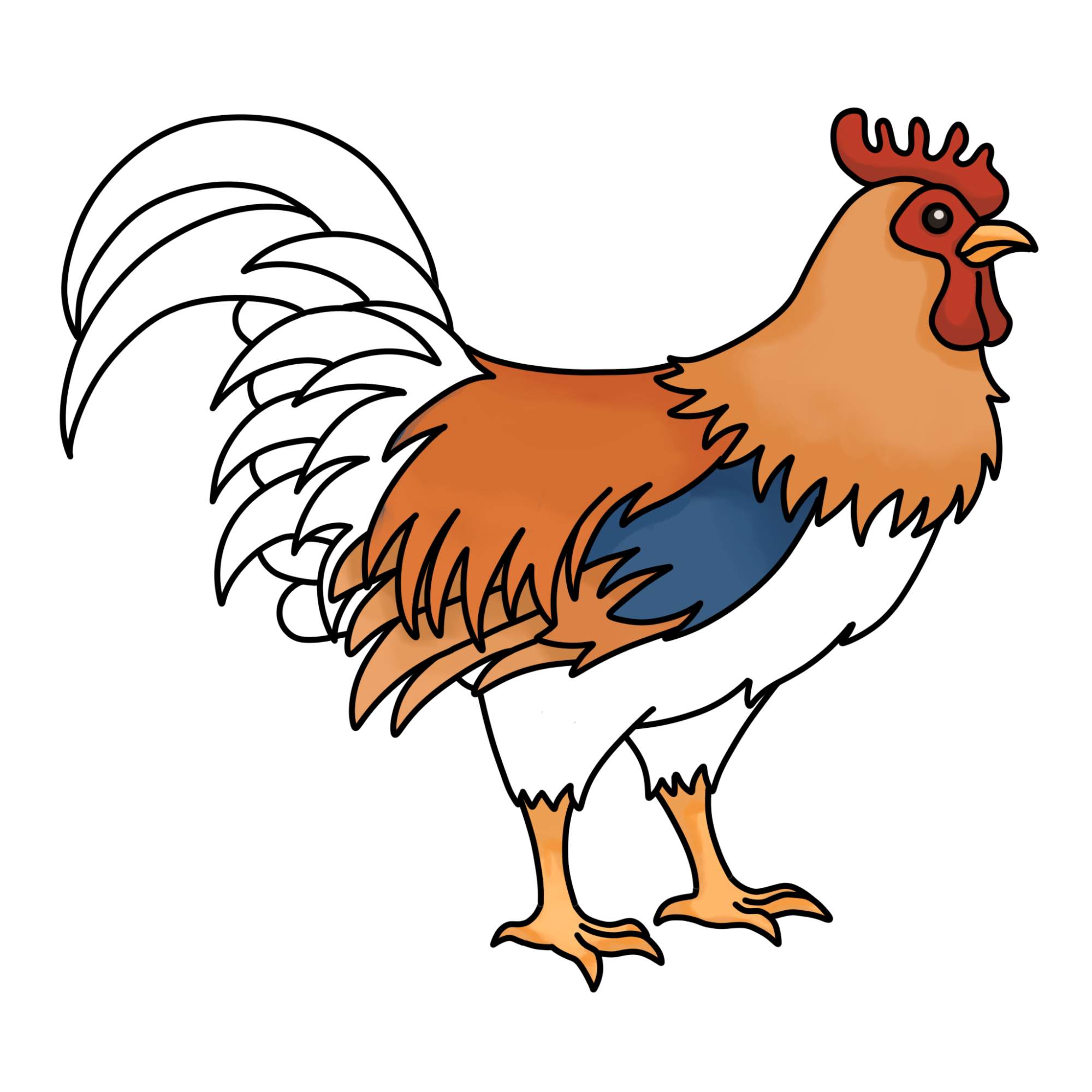 How to Draw a Rooster - Step-17