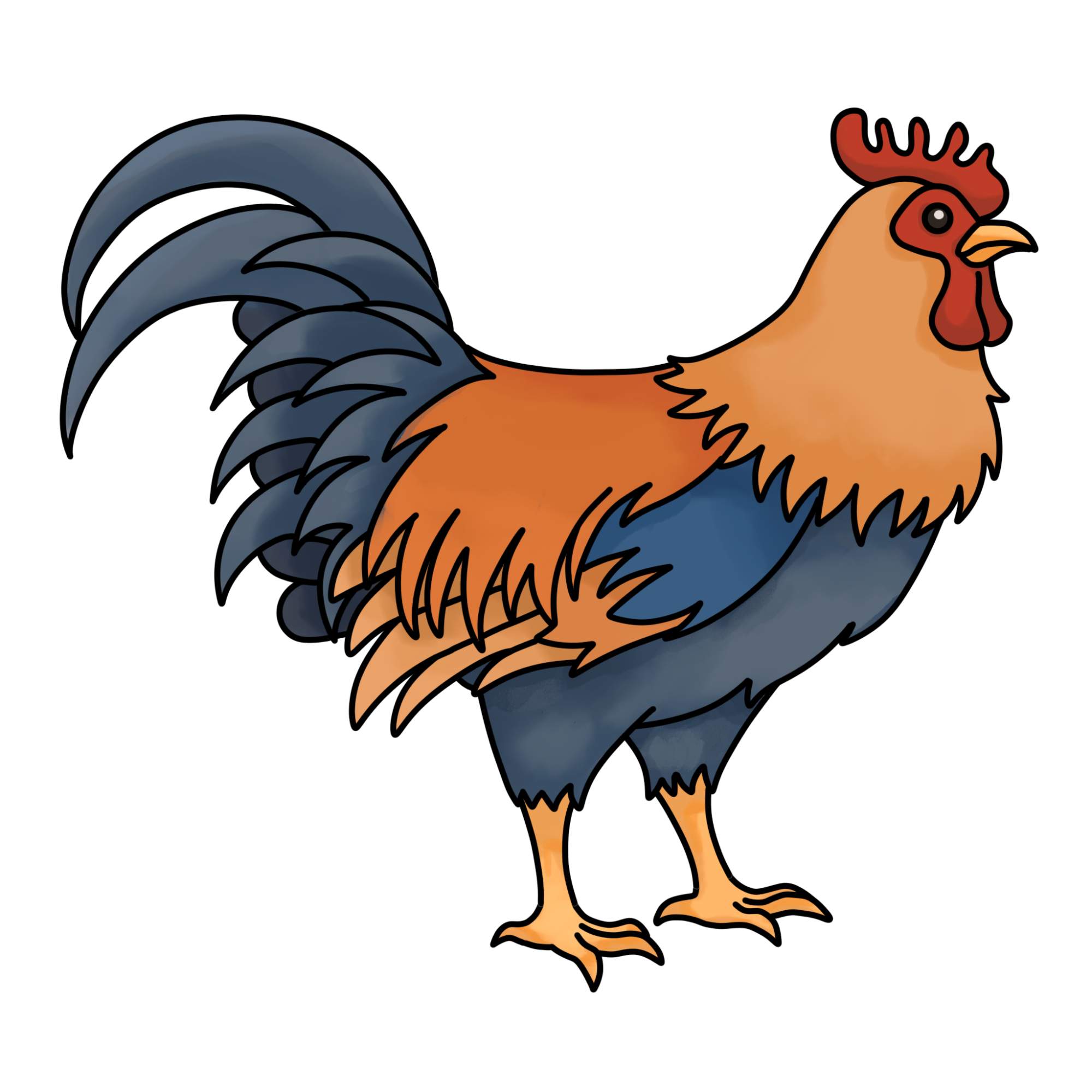 How to Draw a Rooster - Step-18