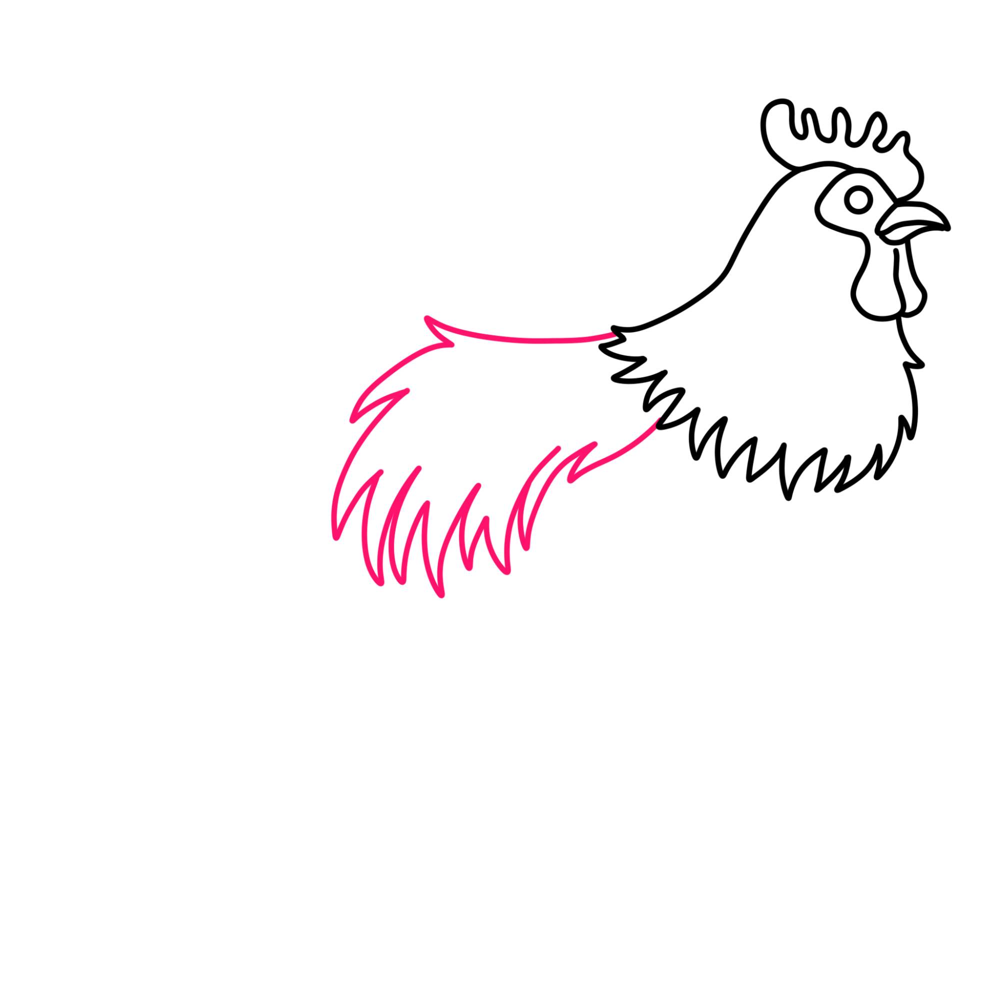 How to Draw a Rooster - Step-6