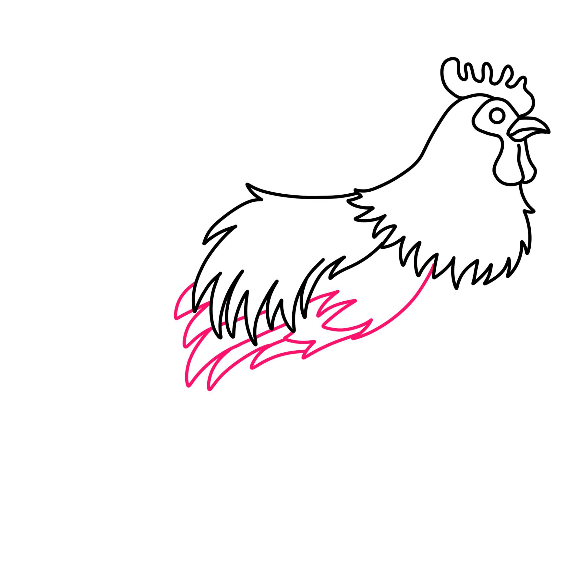 How to Draw a Rooster - Step-7