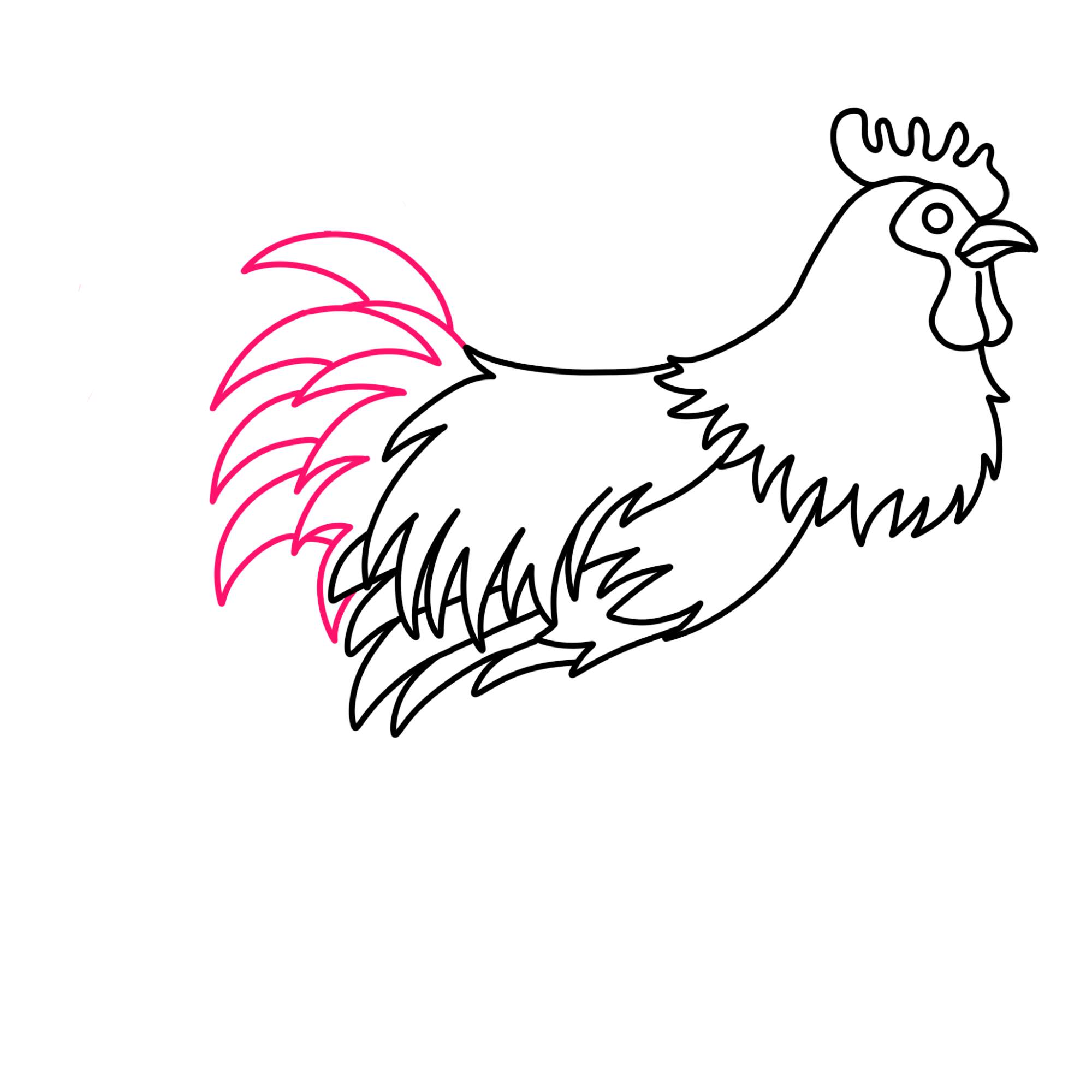 How to Draw a Rooster - Step-8