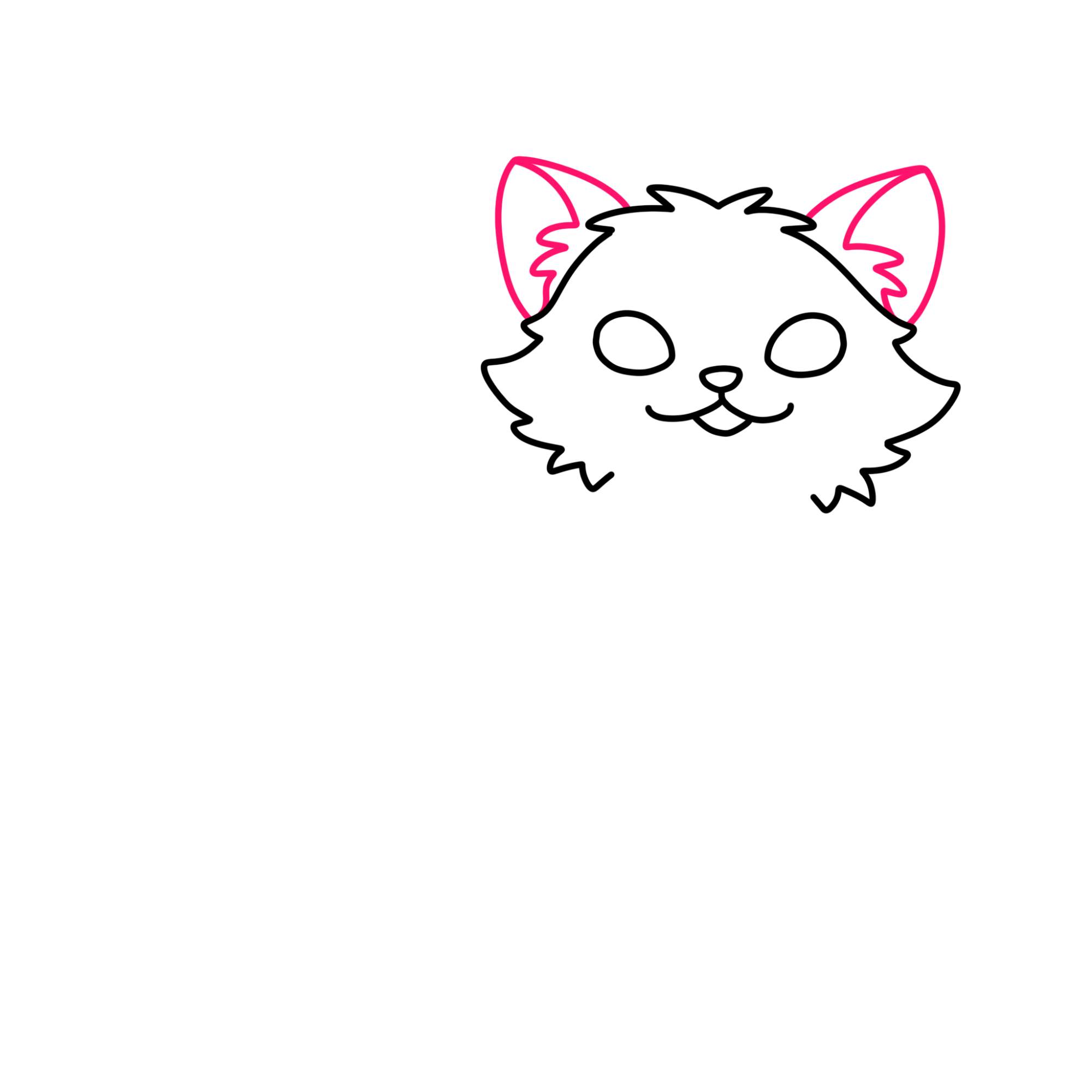 How to Draw a Small Cat - Step-5