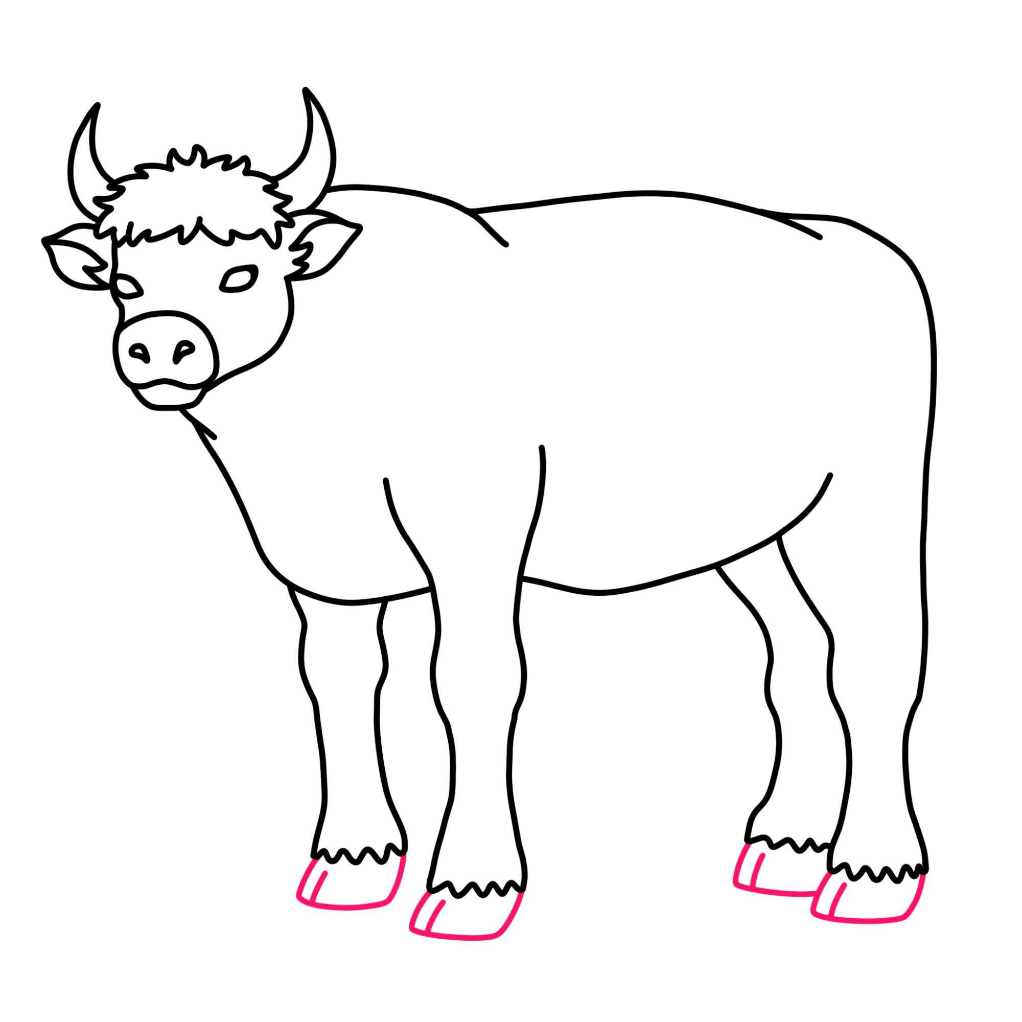 How to Draw an Ox - Step-10