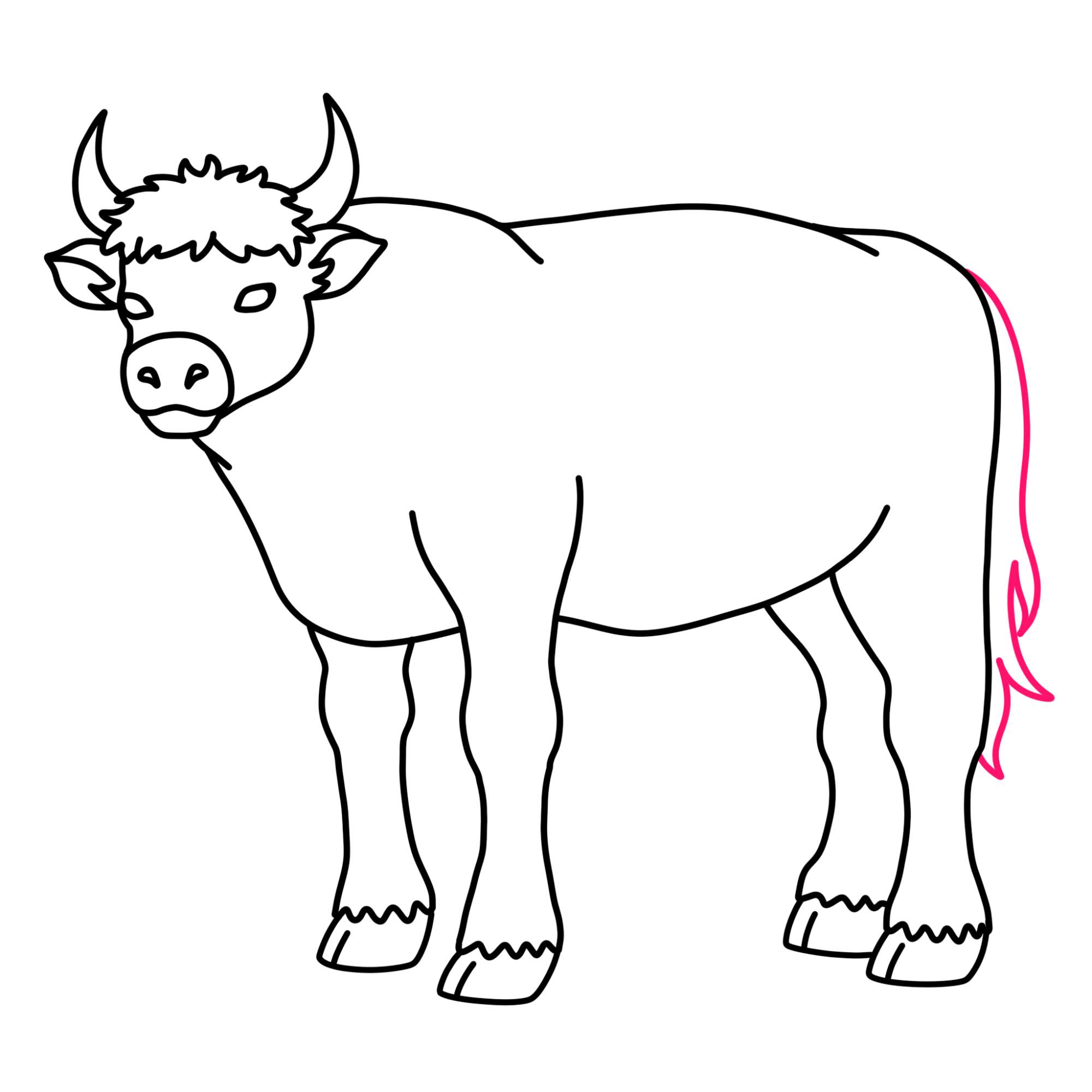 How to Draw an Ox - Step-11