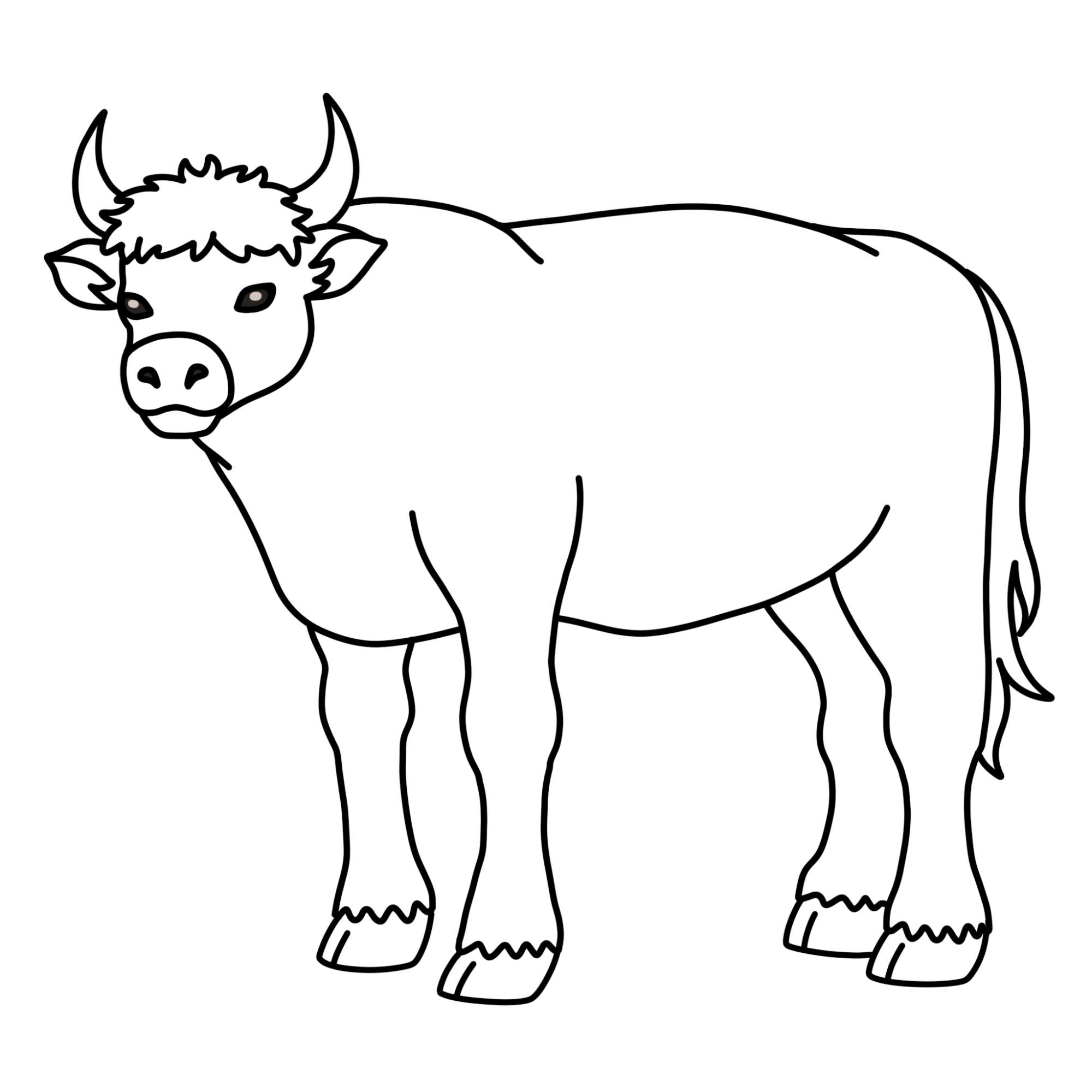 How to Draw an Ox - Step-12