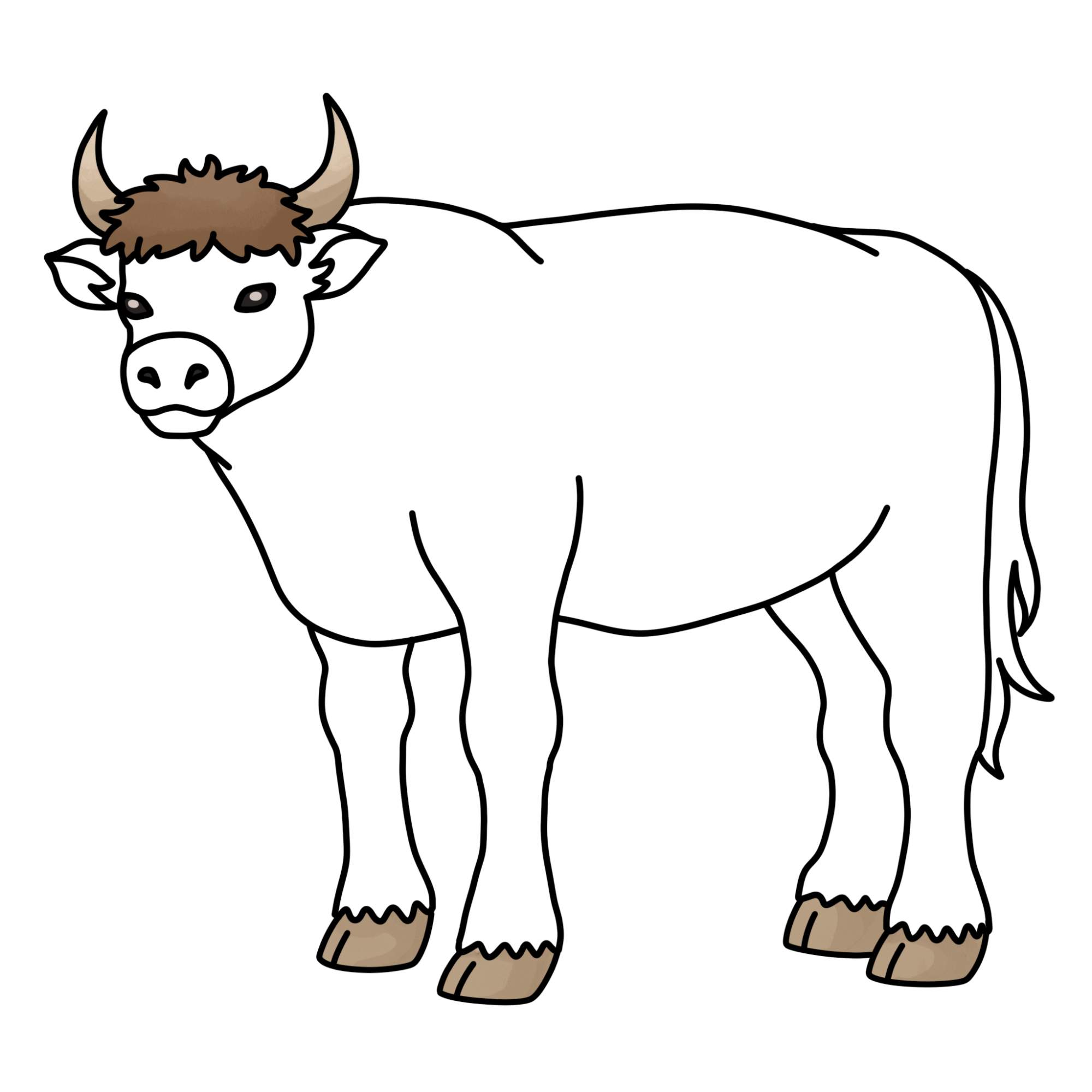 How to Draw an Ox - Step-13