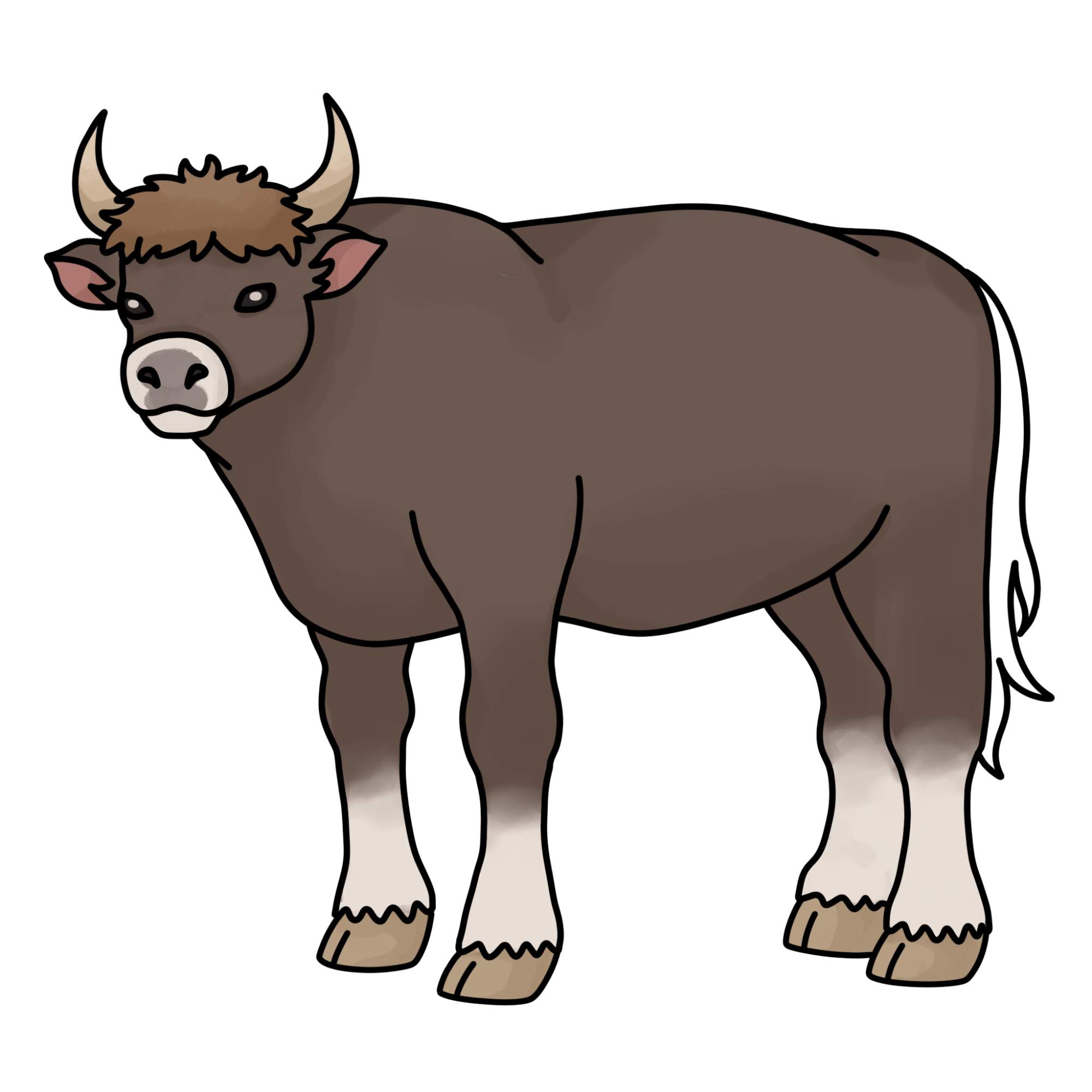 How to Draw an Ox - Step-14