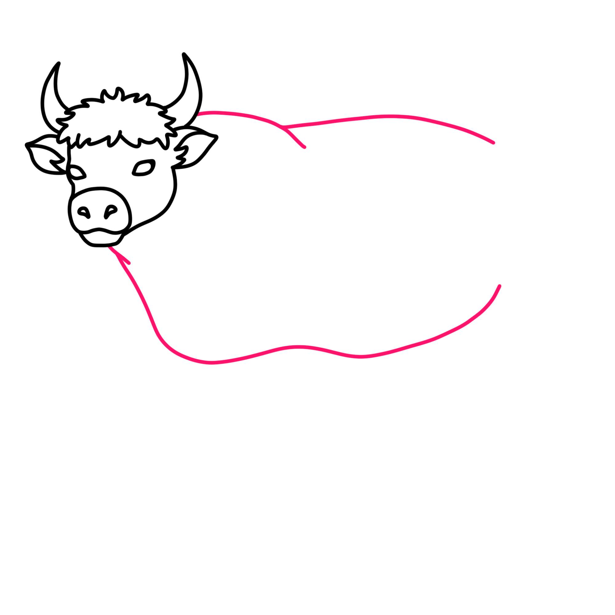 How to Draw an Ox - Step-8