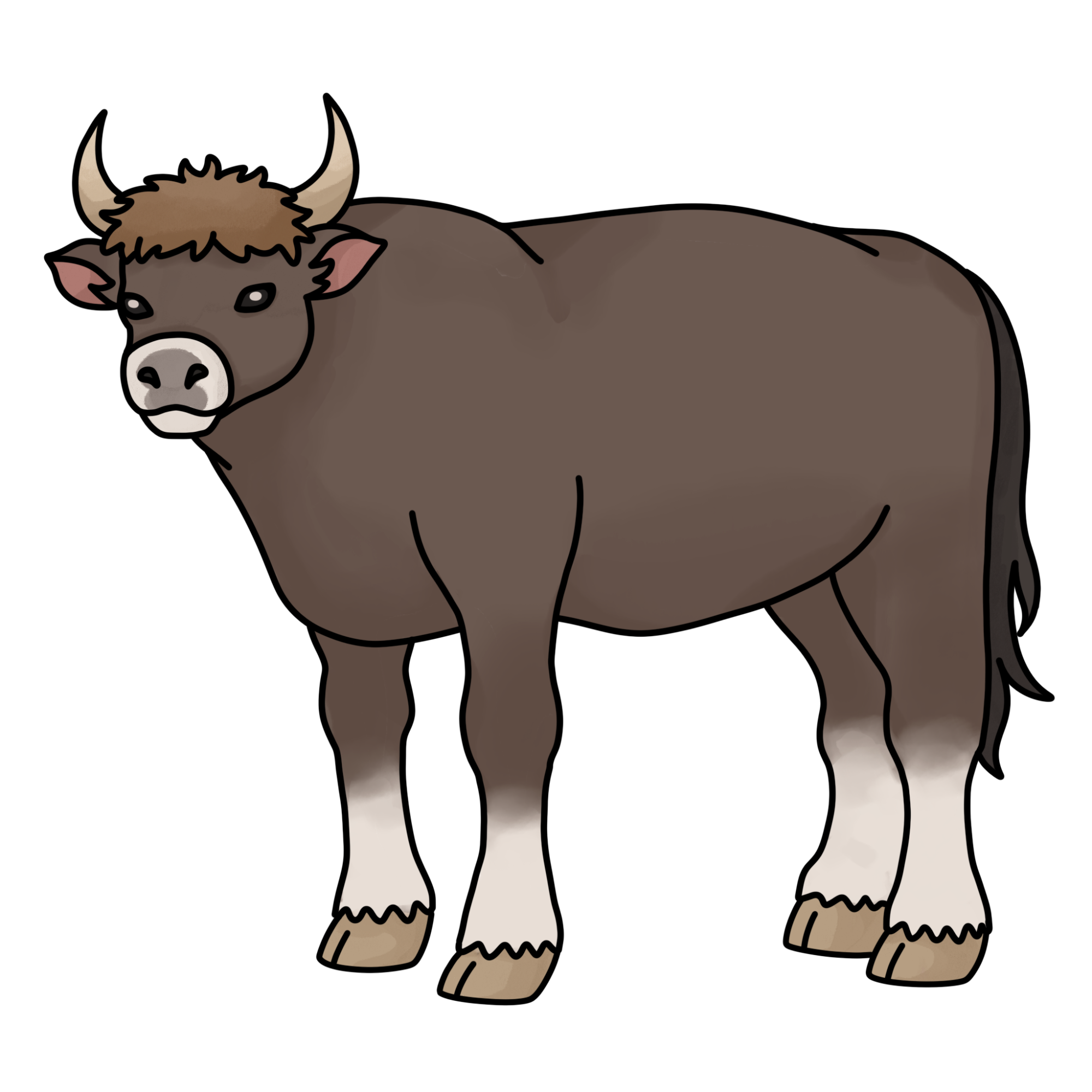 How to Draw an Ox