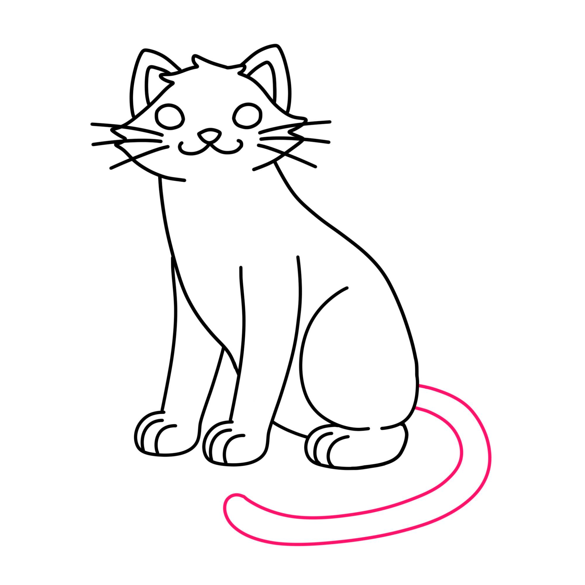 Sitting Cat Drawing - Step-10