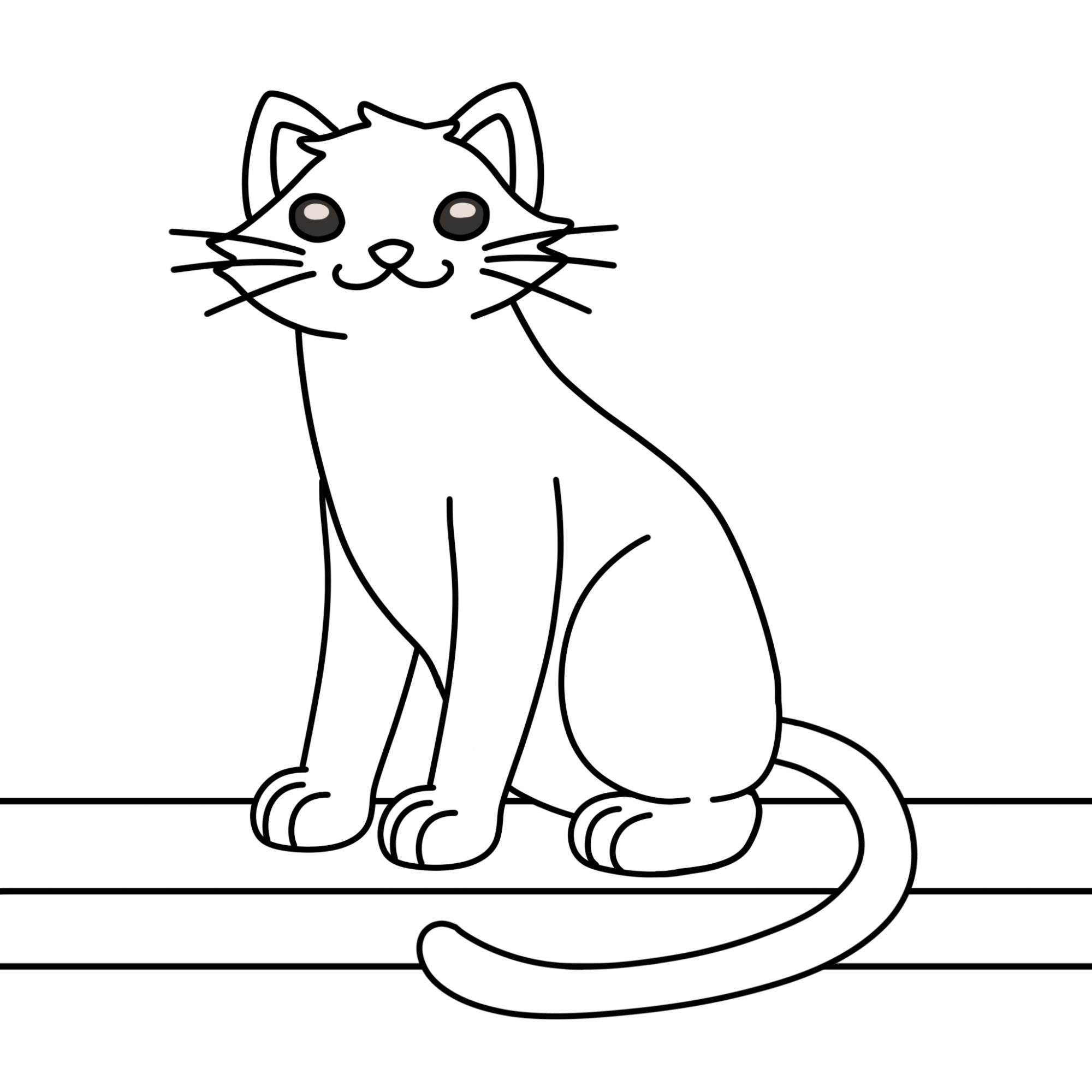 Sitting Cat Drawing - Step-12