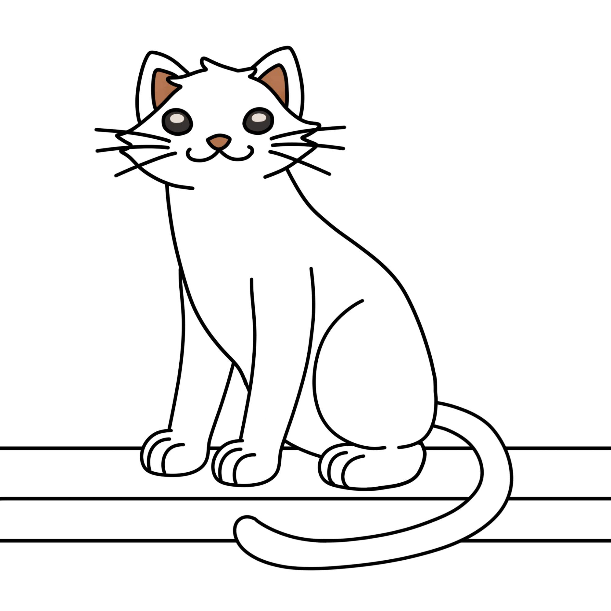 Sitting Cat Drawing - Step-13