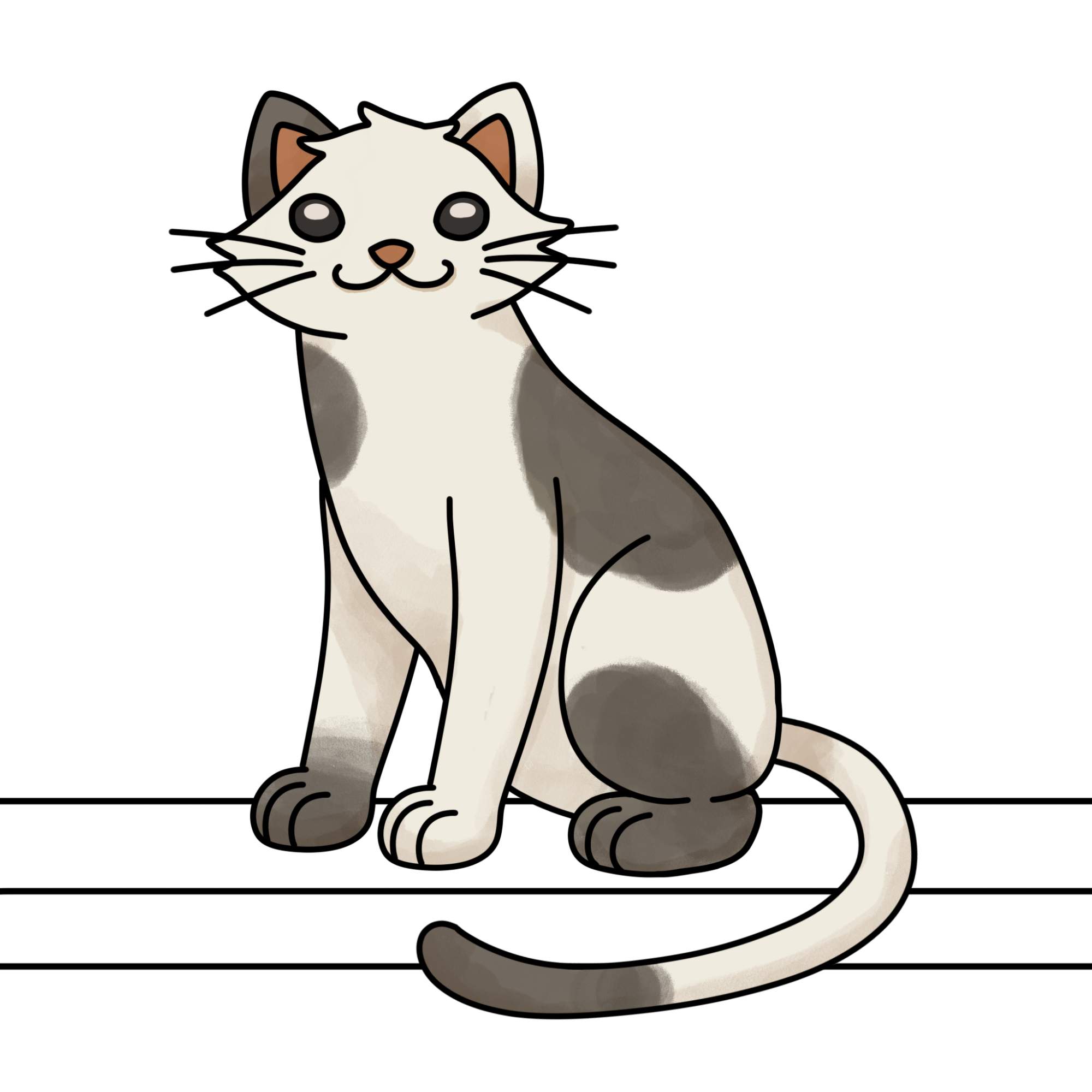 Sitting Cat Drawing - Step-14