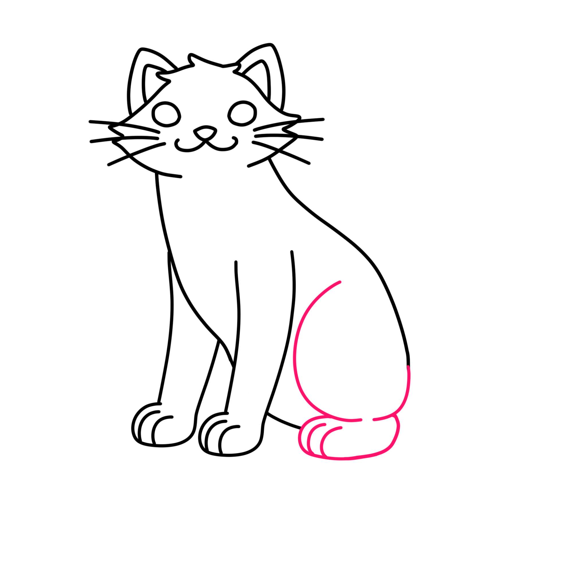 Sitting Cat Drawing - Step-9