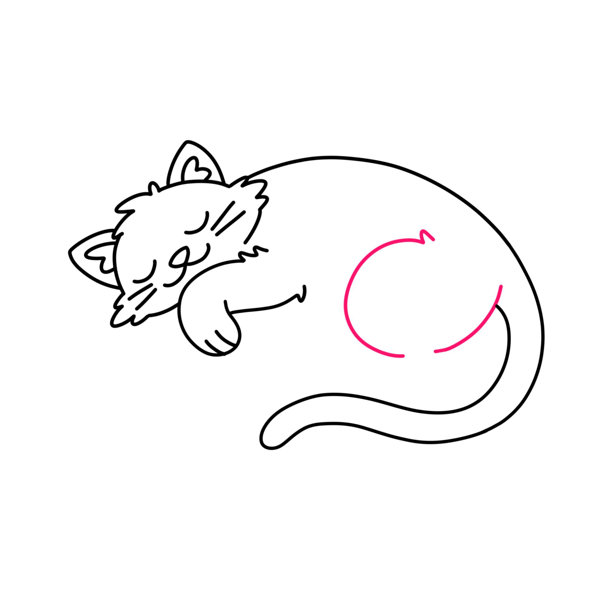 Sleeping Cat Drawing - Step-10