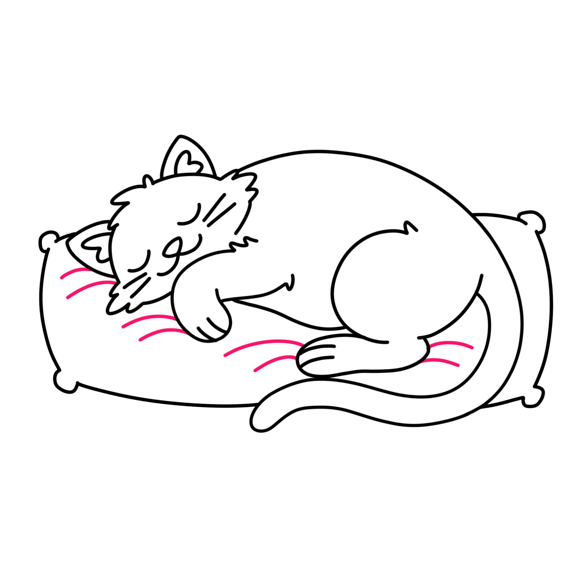 Sleeping Cat Drawing - Step-14