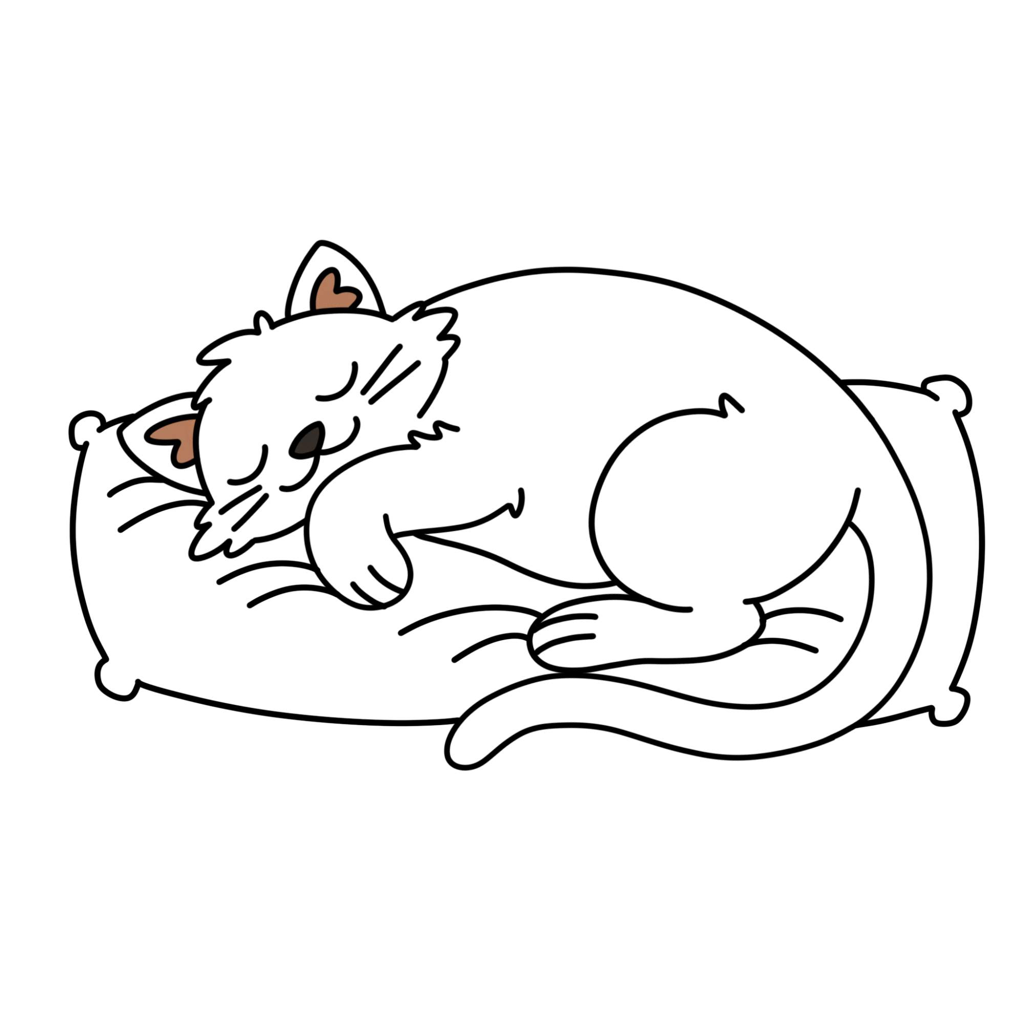 Sleeping Cat Drawing - Step-15