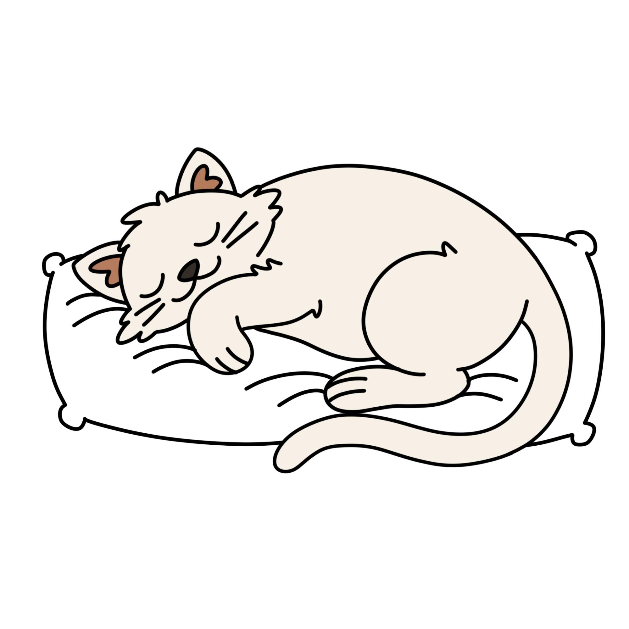 Sleeping Cat Drawing - Step-16