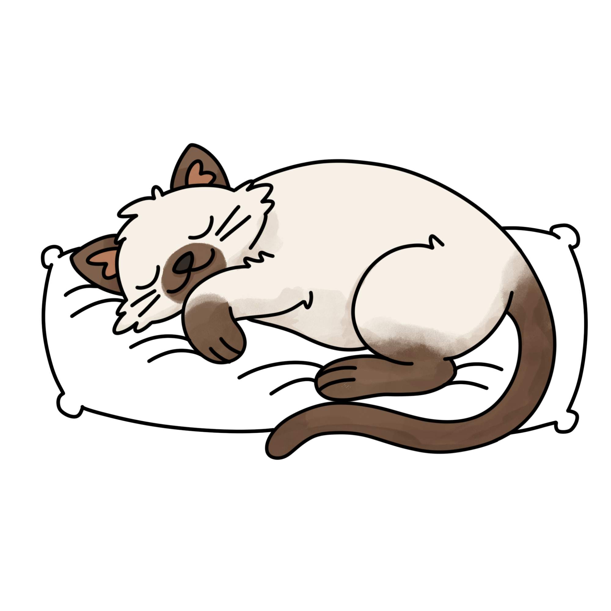 Sleeping Cat Drawing - Step-17