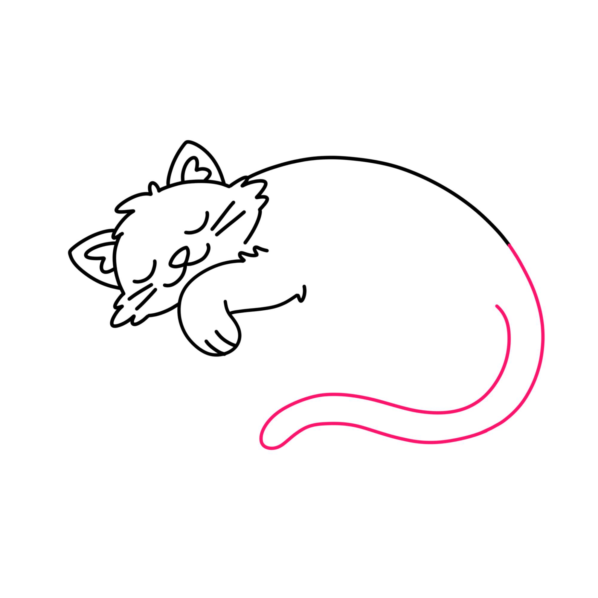 Sleeping Cat Drawing - Step-9