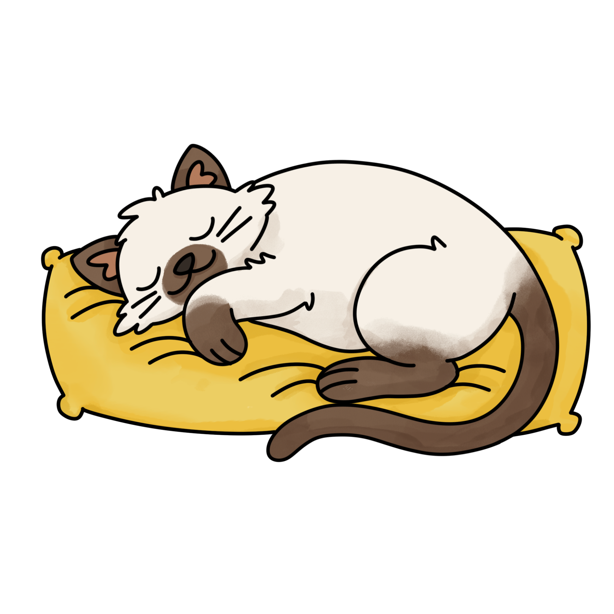 Sleeping Cat Drawing