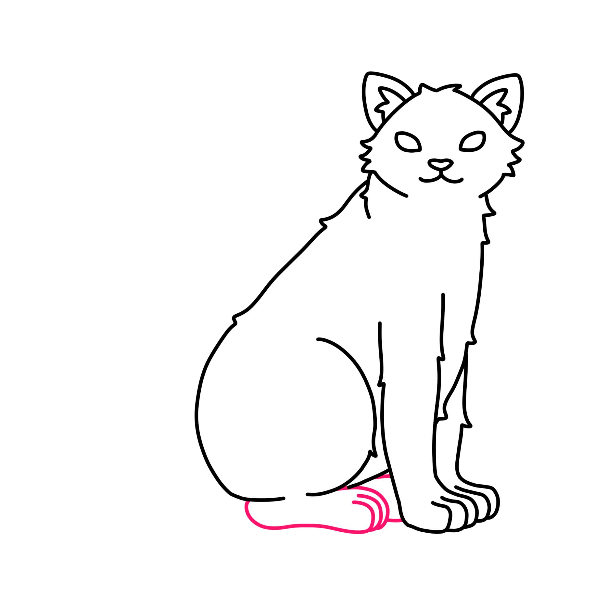 Tabby Cat Drawing - Step-10