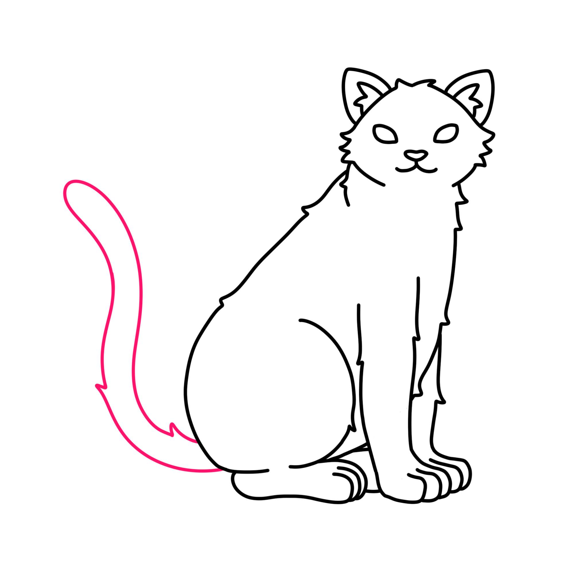 Tabby Cat Drawing - Step-11