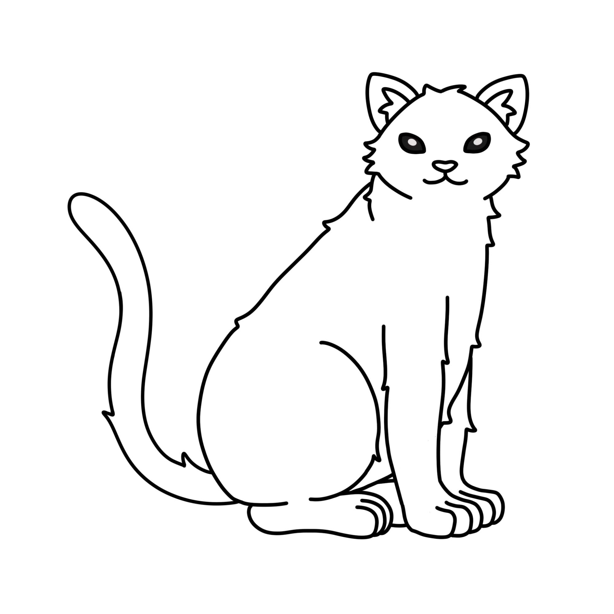 Tabby Cat Drawing - Step-12