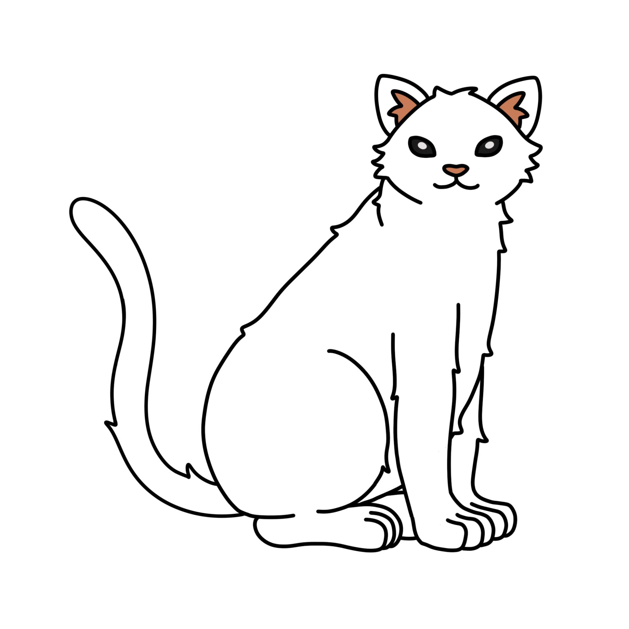 Tabby Cat Drawing - Step-13