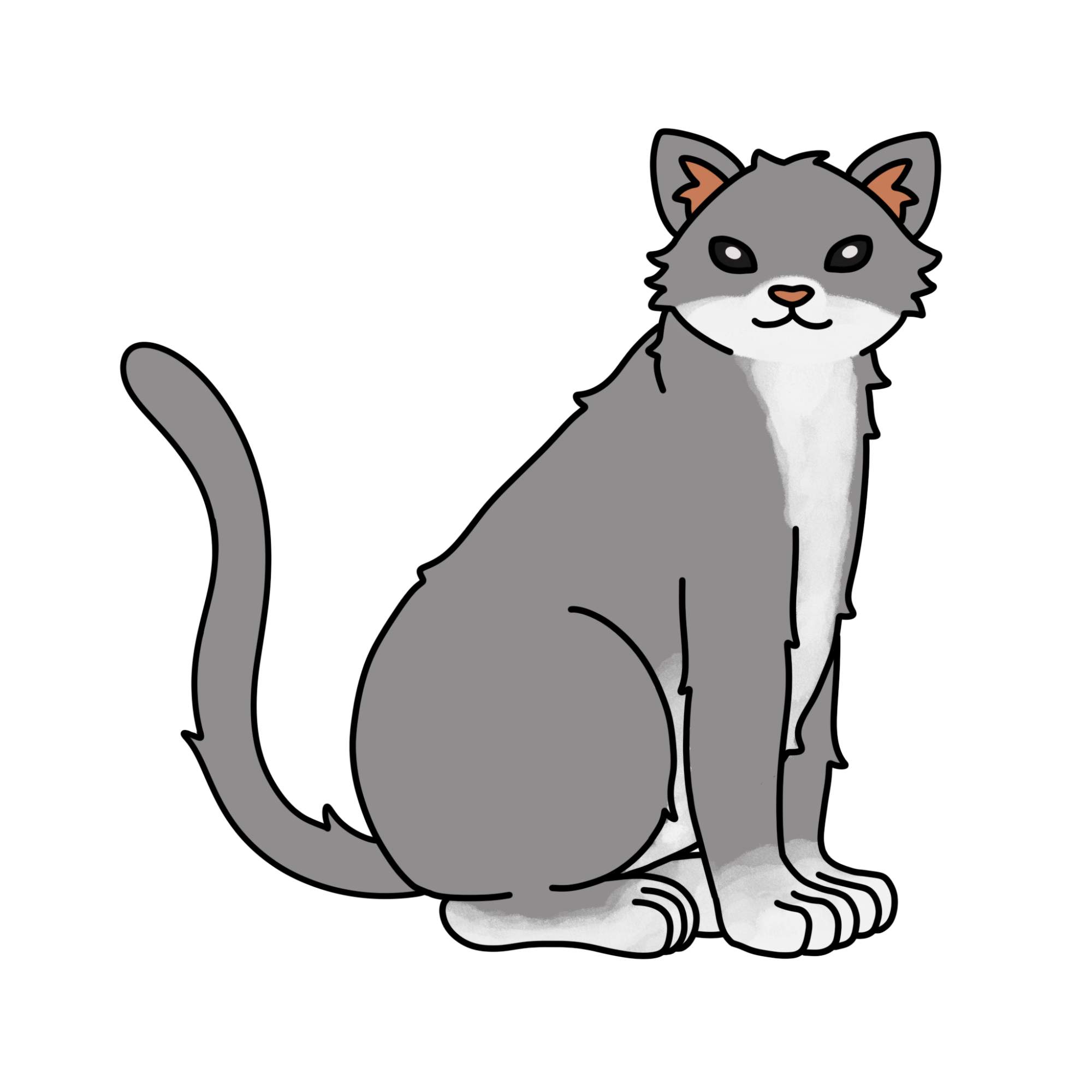 Tabby Cat Drawing - Step-14